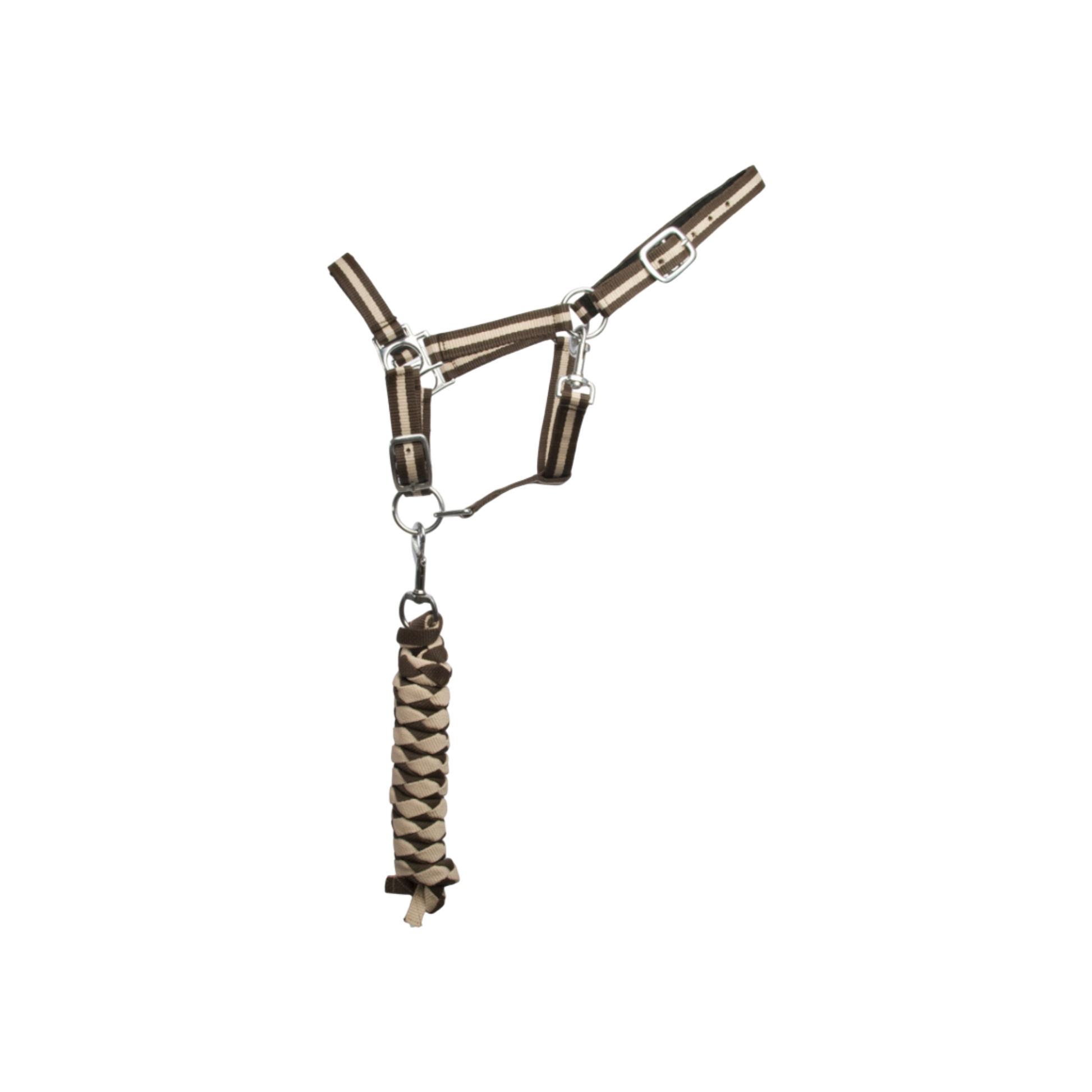 TdeT - Synthetic suede-lined halter with American lead rope dark brown/beige