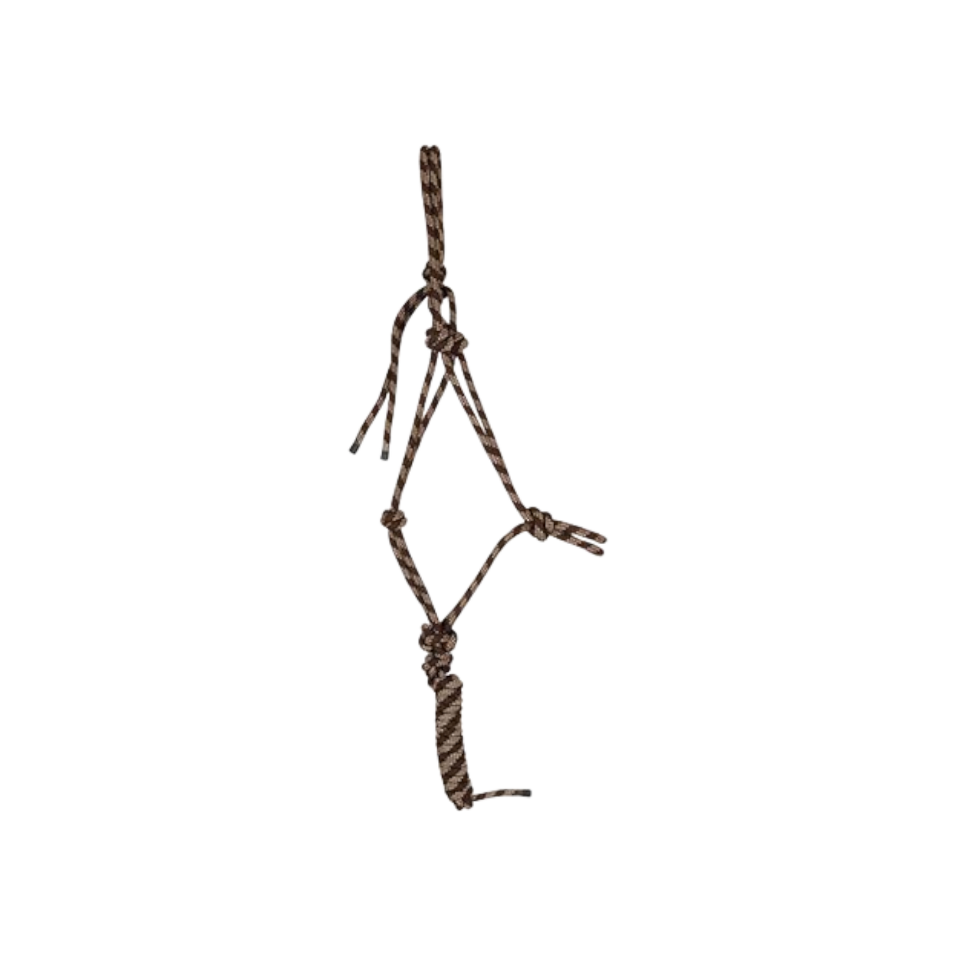 TdeT - Ethological halter and lead rope Standard brown/beige