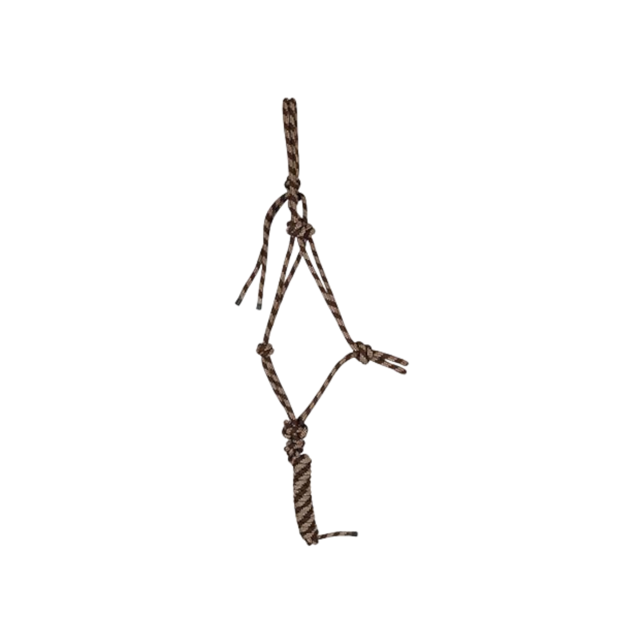 TdeT - Licol éthologique et longe Standard marron/ beige