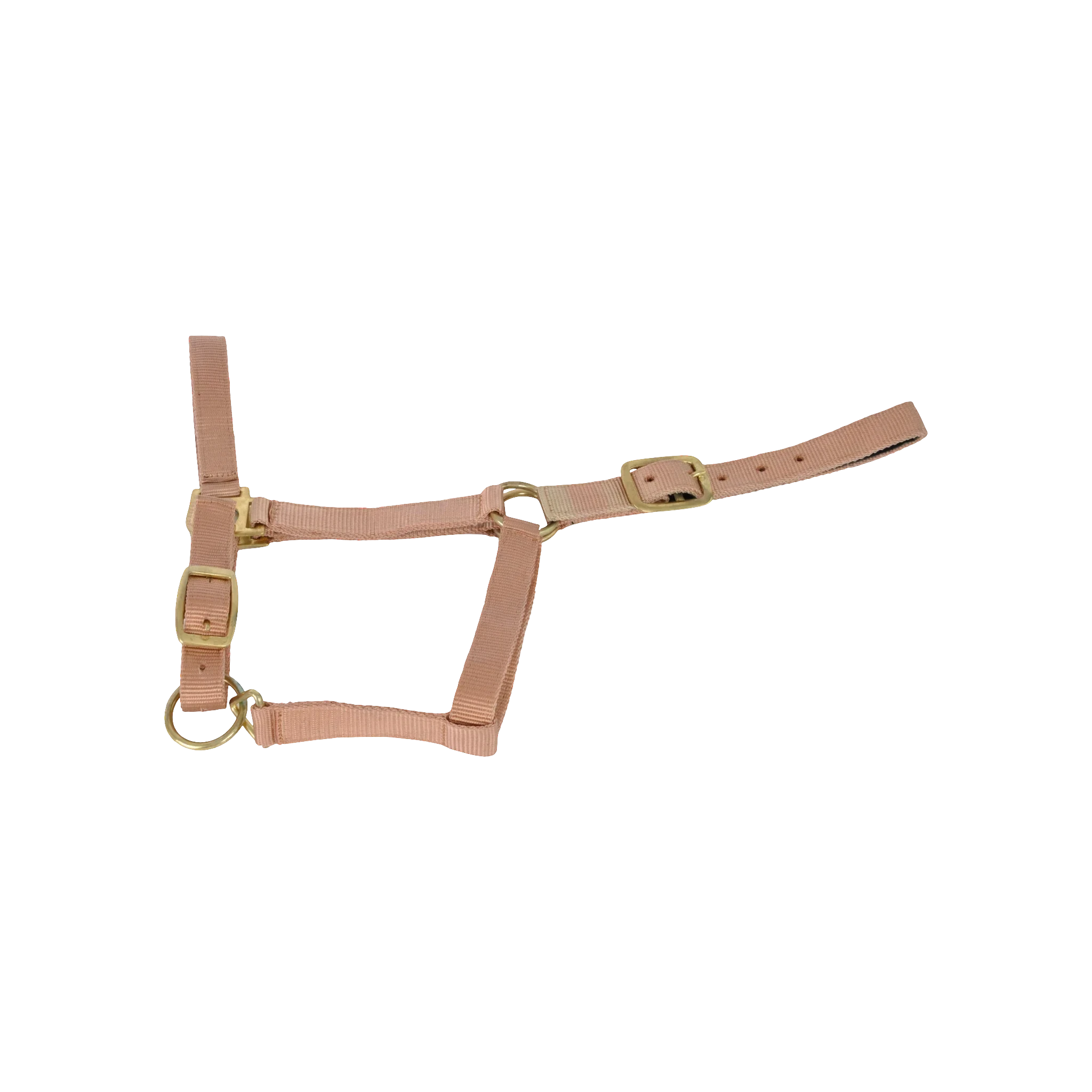 TdeT - licol synthétique doublé suédine beige