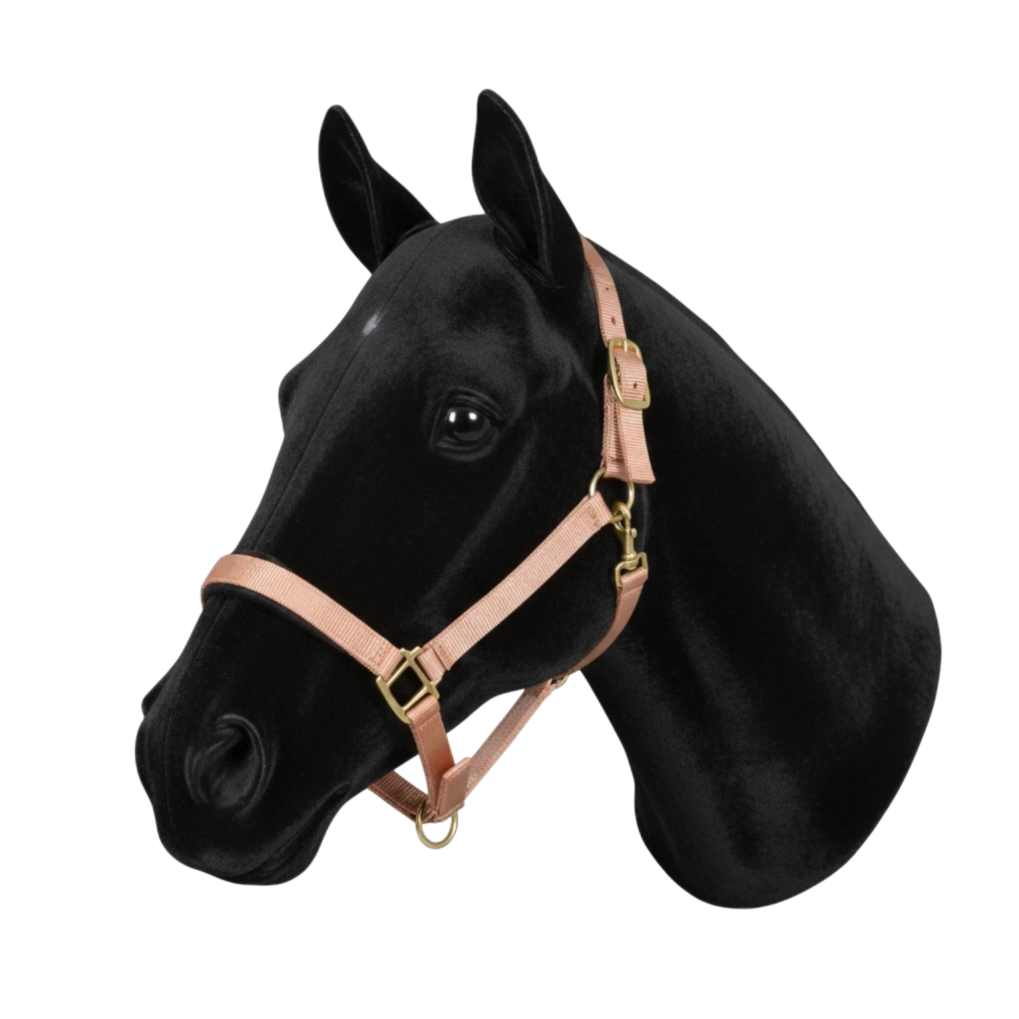 TdeT - licol synthétique doublé suédine beige