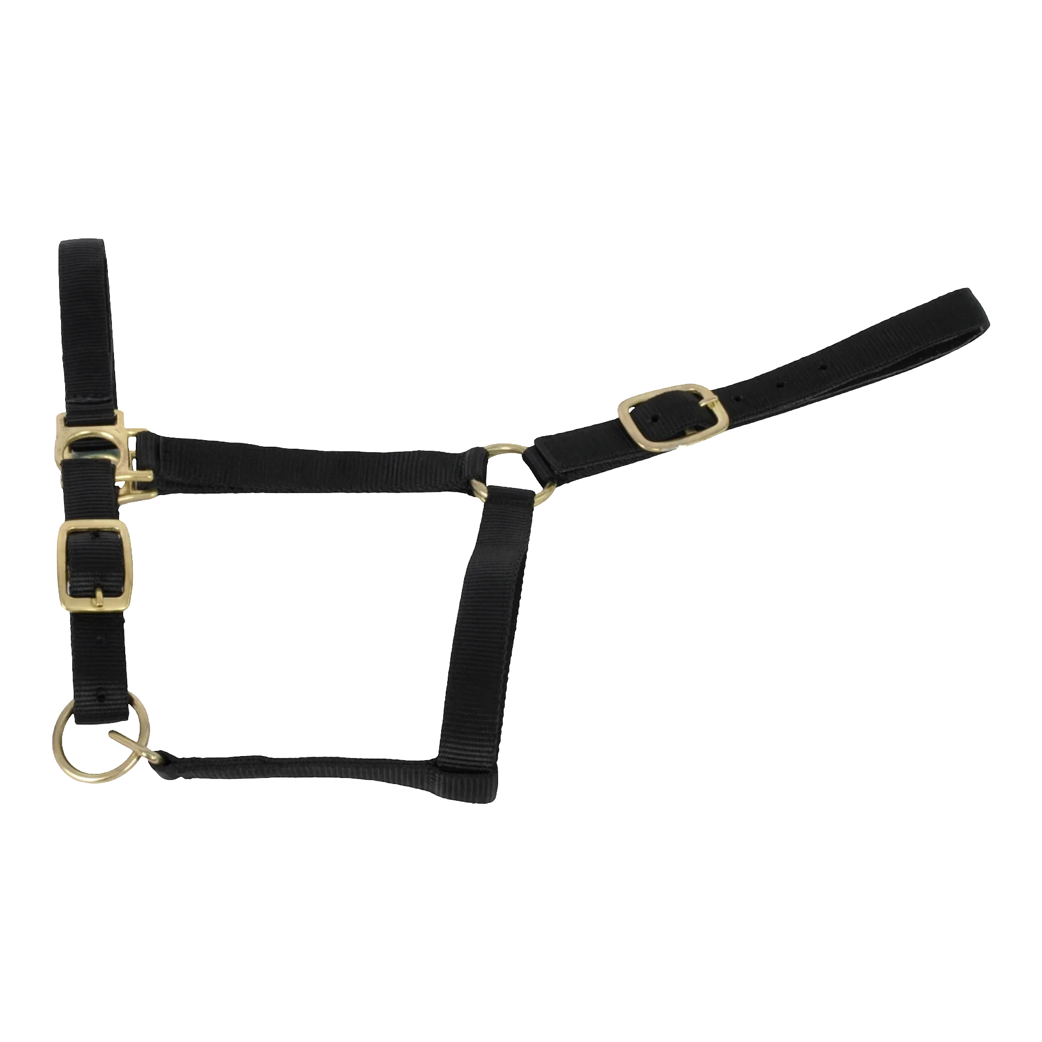 TdeT - Licol synthétique doublé suédine noir