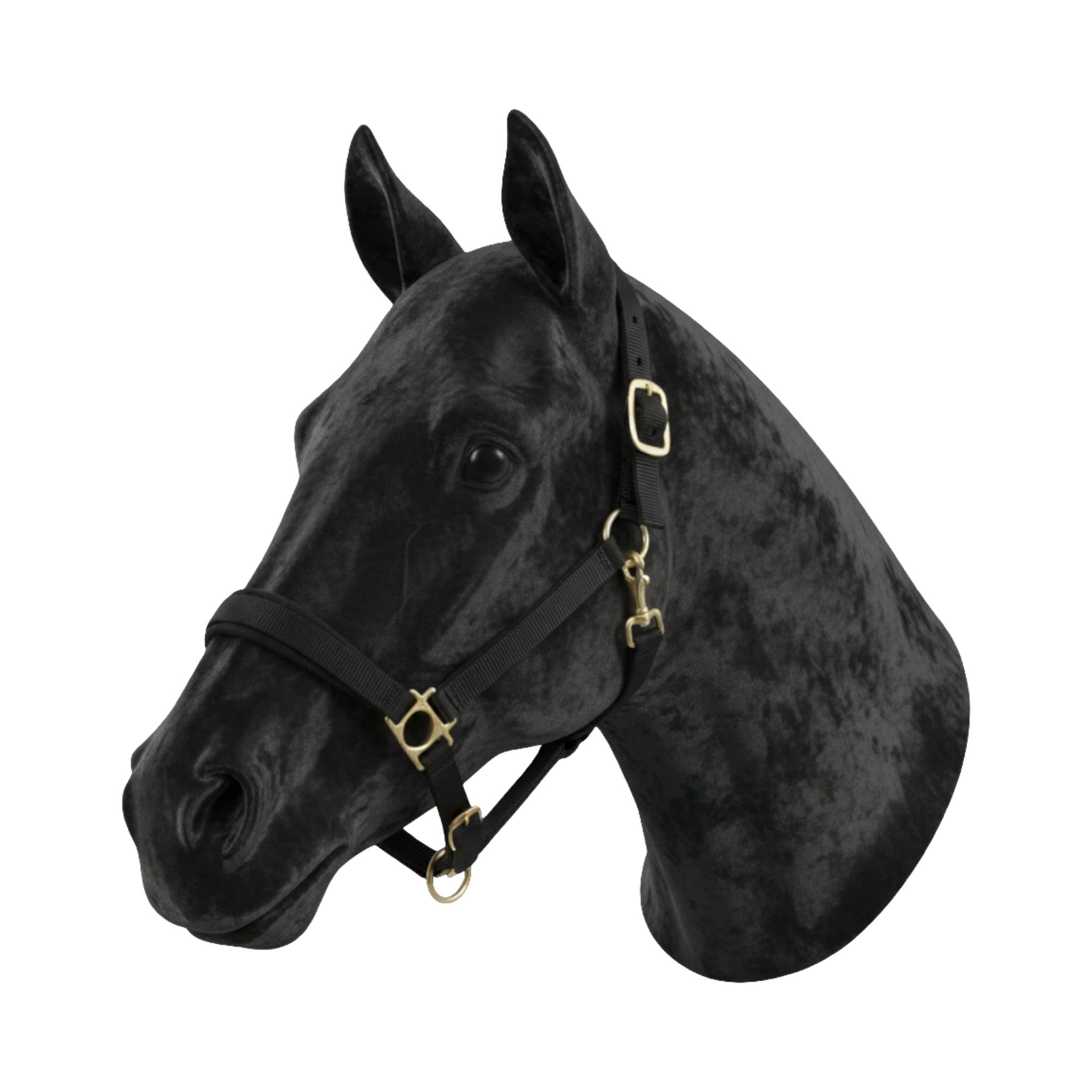 TdeT - Licol synthétique doublé suédine noir