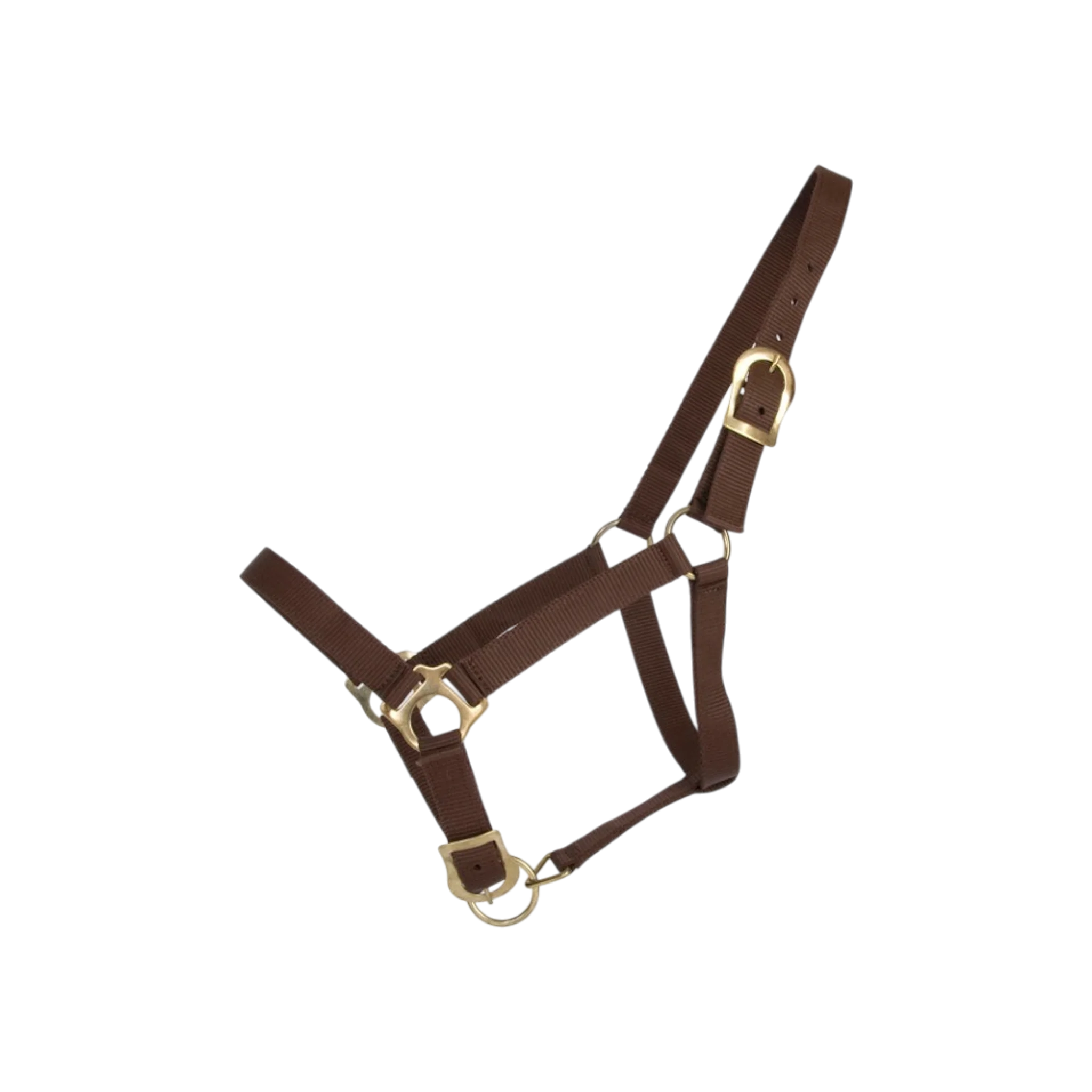 TdeT - Licol synthétique First marron foncé