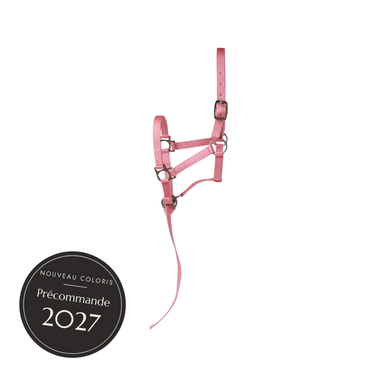 TdeT - Licol poulain avec longe plate Prélude rose