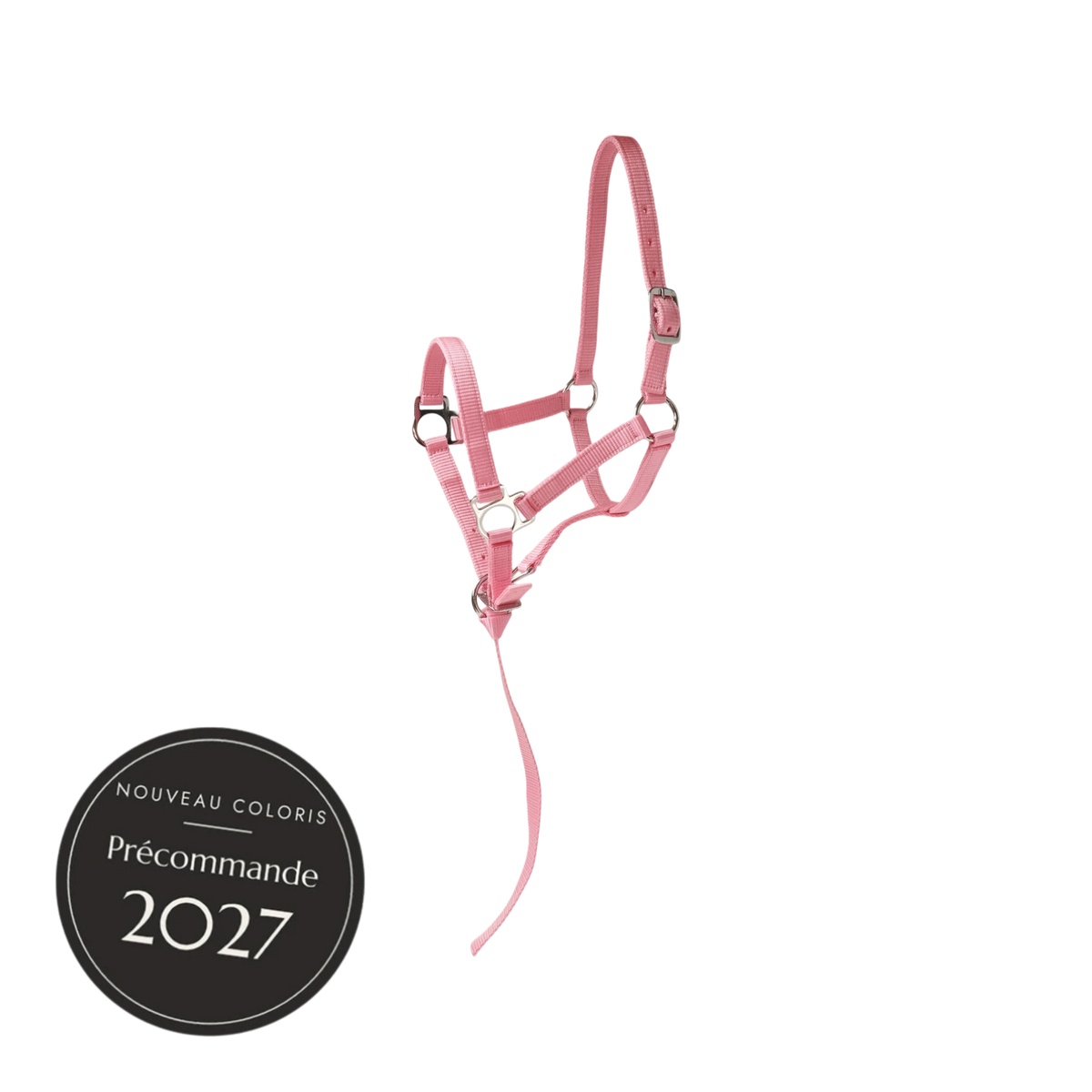 TdeT - Licol poulain avec longe plate Prélude rose