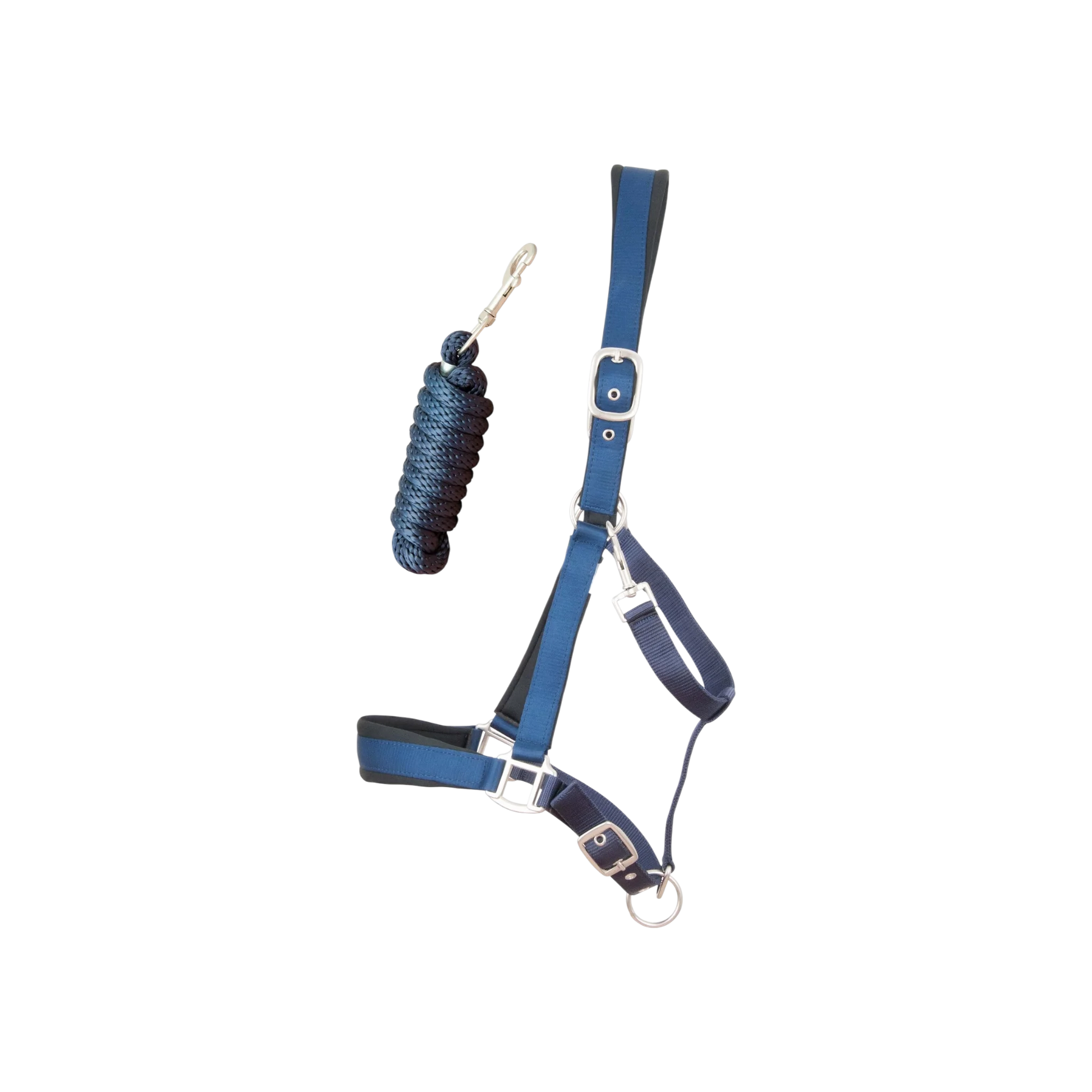 TdeT - Licol synthétique satiné doublé mousse et longe ronde marine