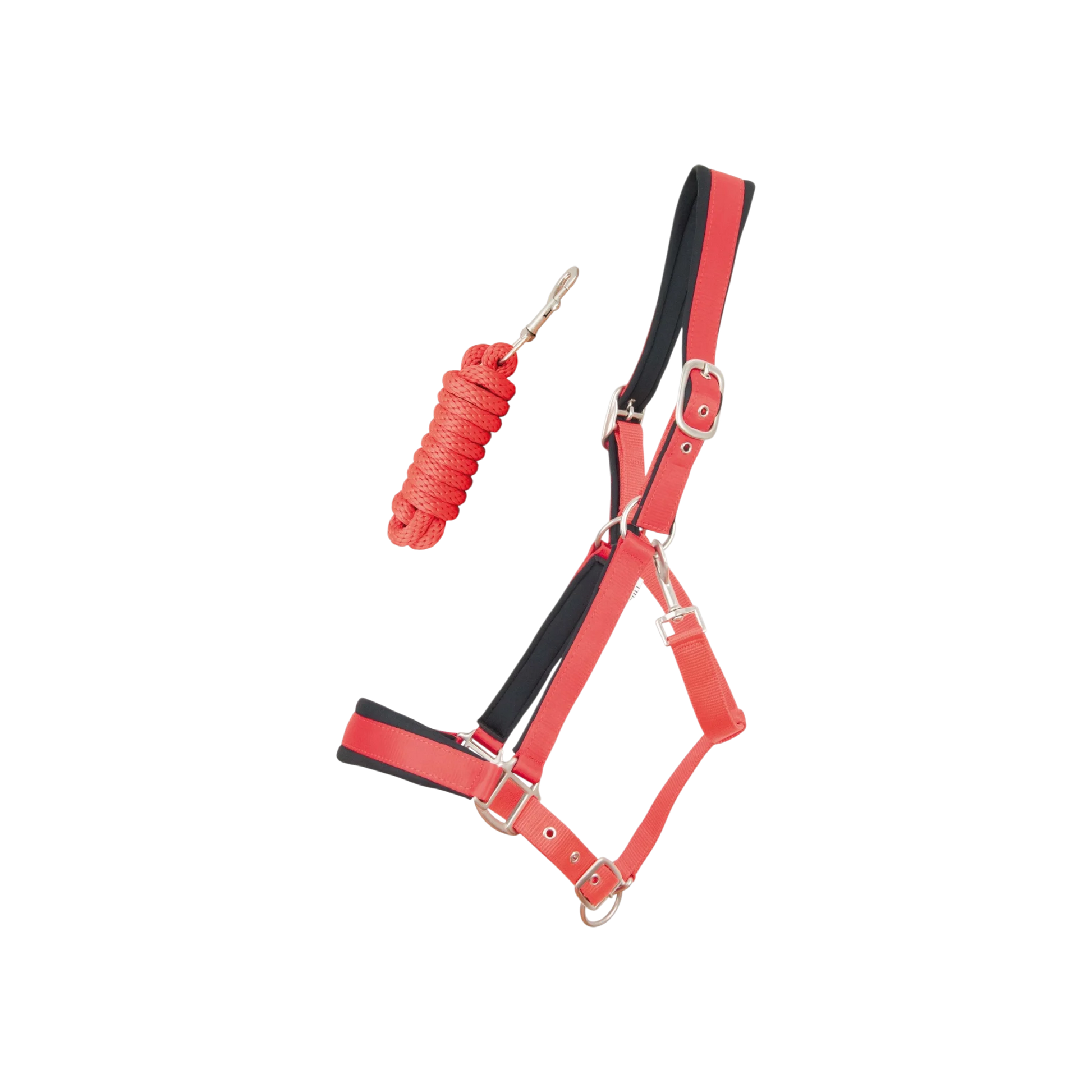 TdeT - Licol synthétique satiné doublé mousse et longe ronde rouge