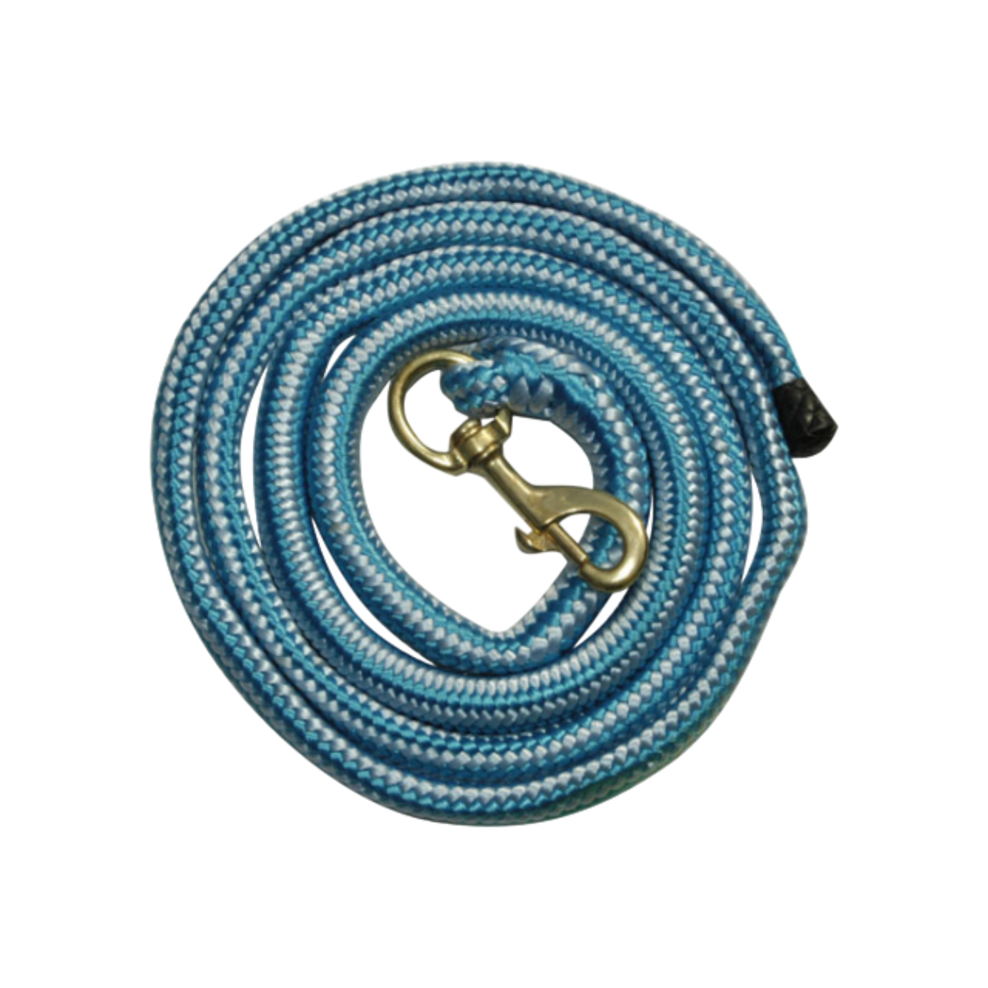 TdeT - Elastic round lead rope blue/sky blue
