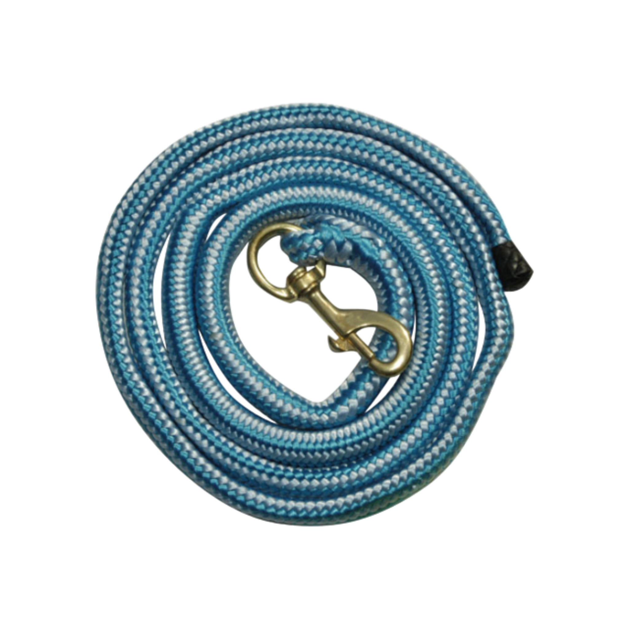 TdeT - Elastic round lead rope blue/sky blue