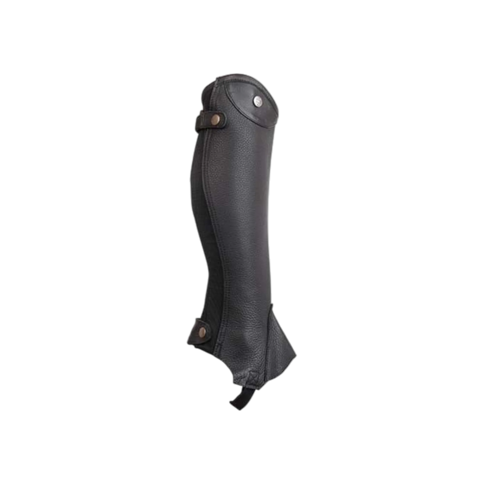 TdeT- Mini-chaps Schubert noir