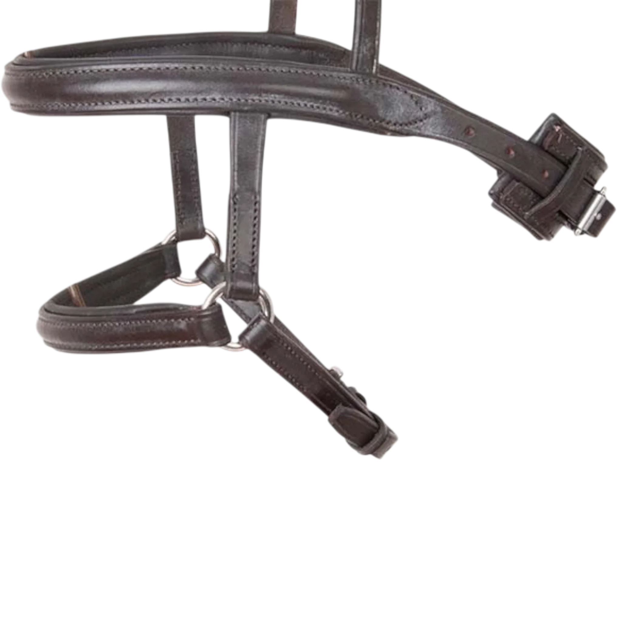 TdeT - Combined noseband dark havana