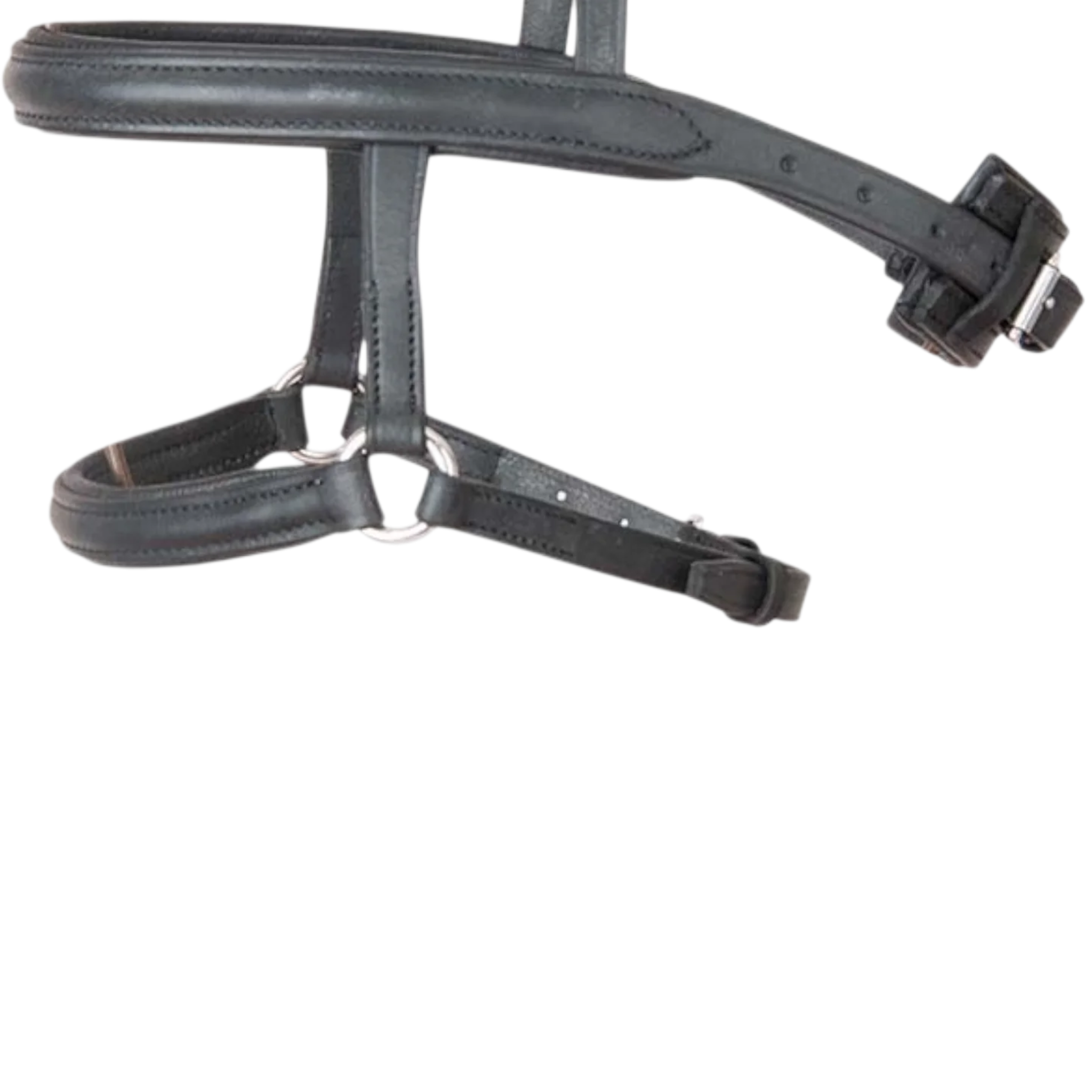 TdeT - Combined noseband black