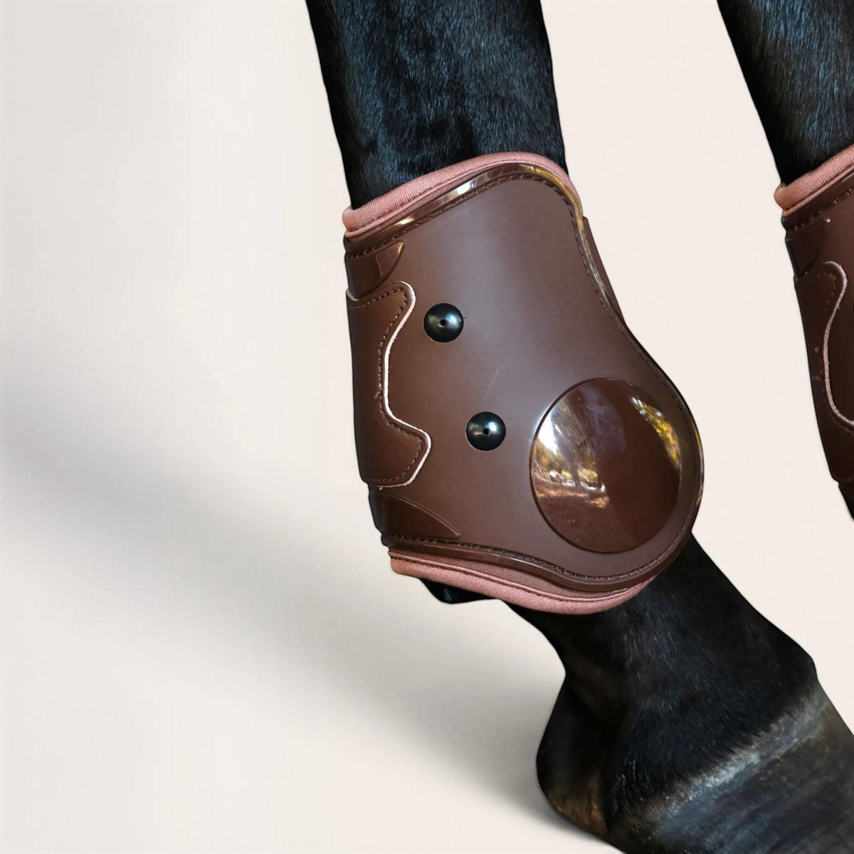 TdeT - Protege-Boulets Cuir et coque 