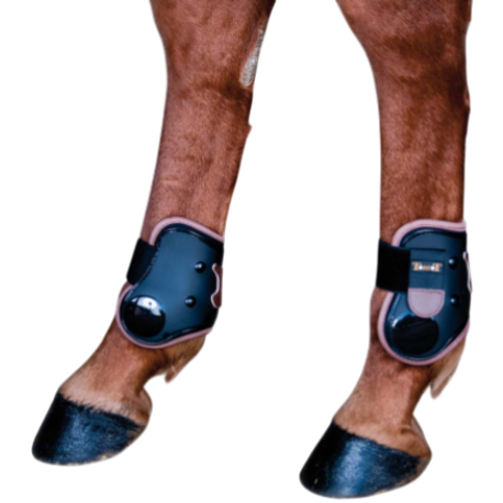 TdeT - Shell and leather fetlock boots black/brown