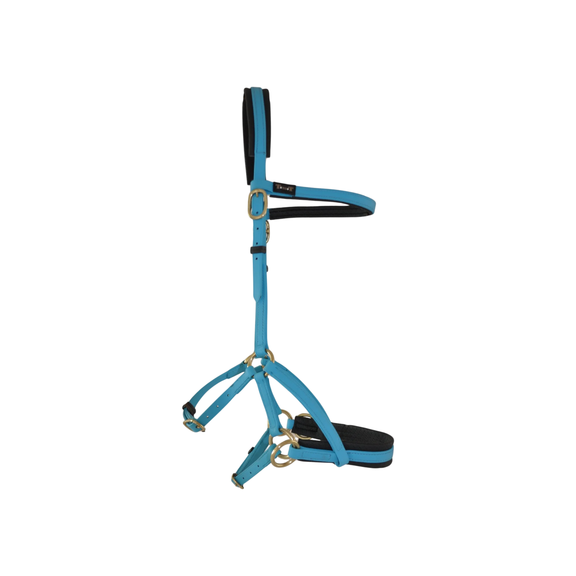 TdeT - Biotack® sidepull bridle sky blue