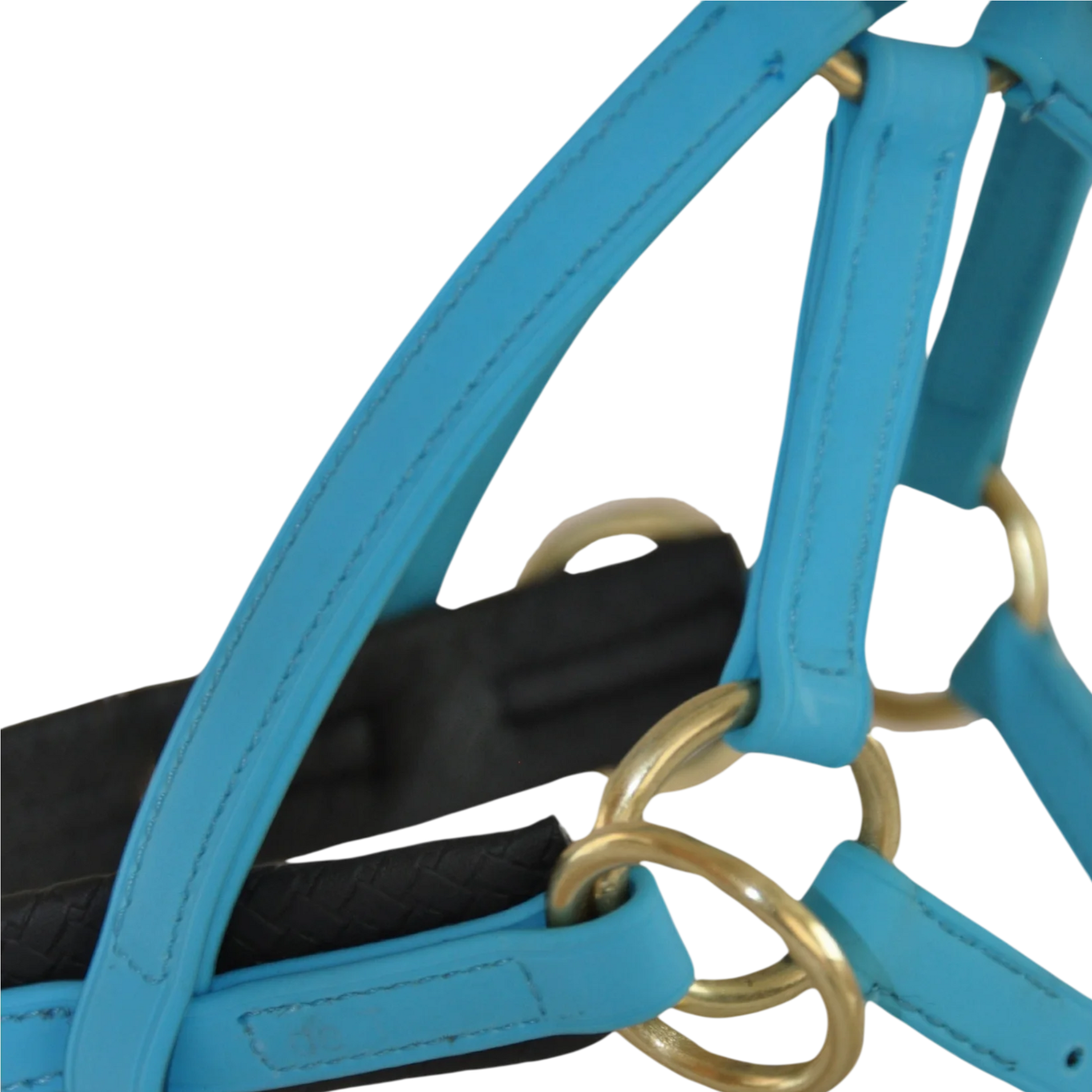 TdeT - Biotack® sidepull bridle sky blue