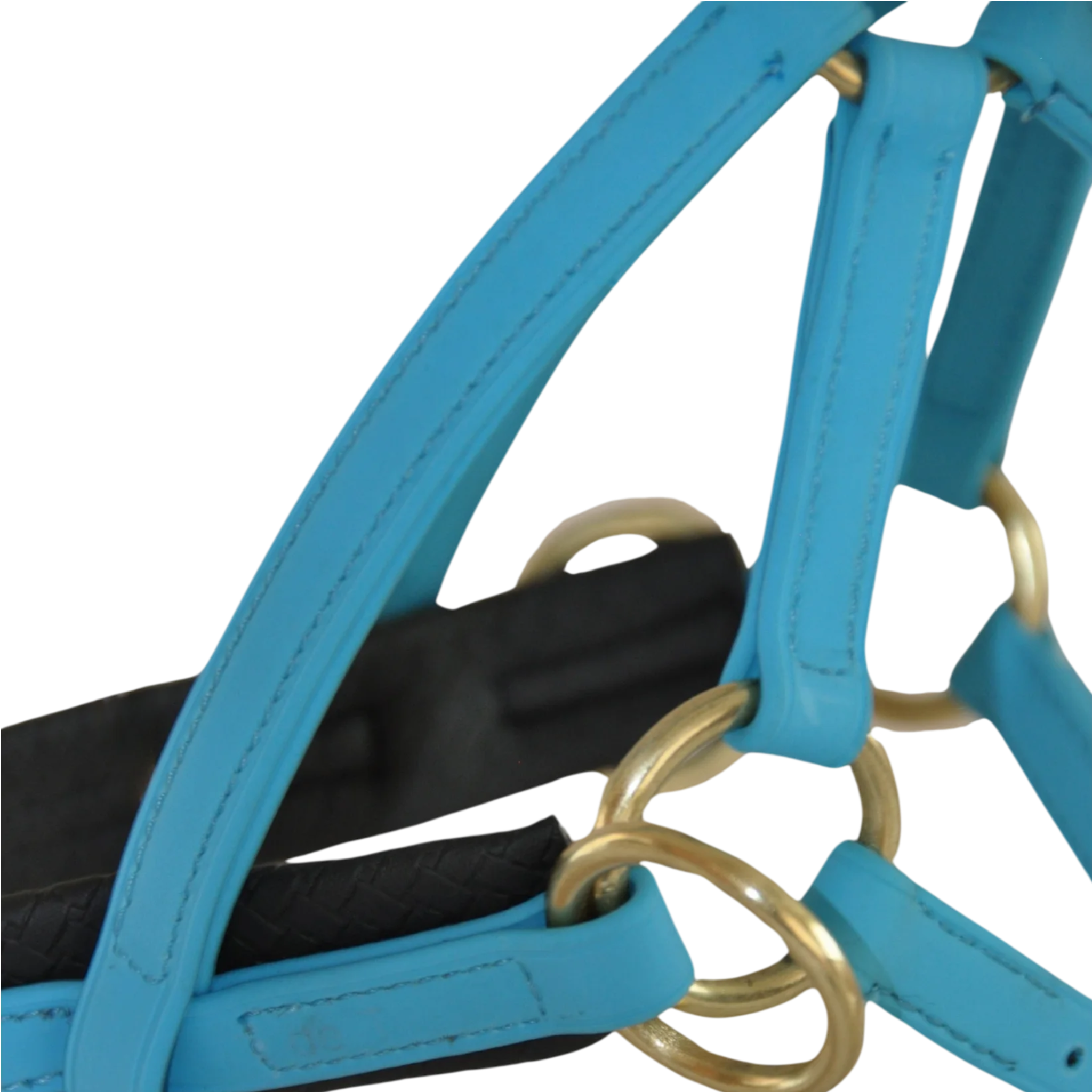 TdeT - Biotack® sidepull bridle sky blue