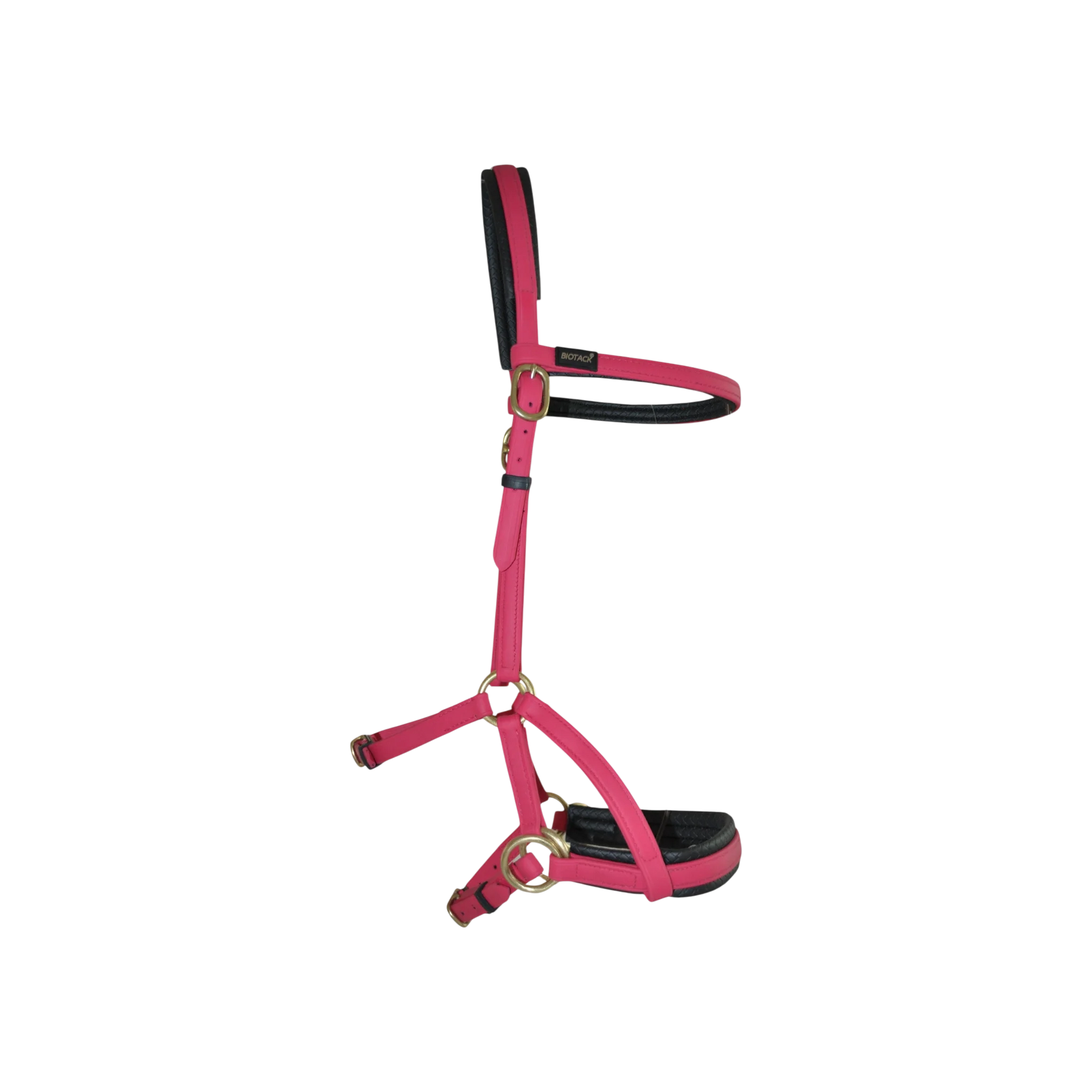 TdeT - Biotack® sidepull bridle fuchsia