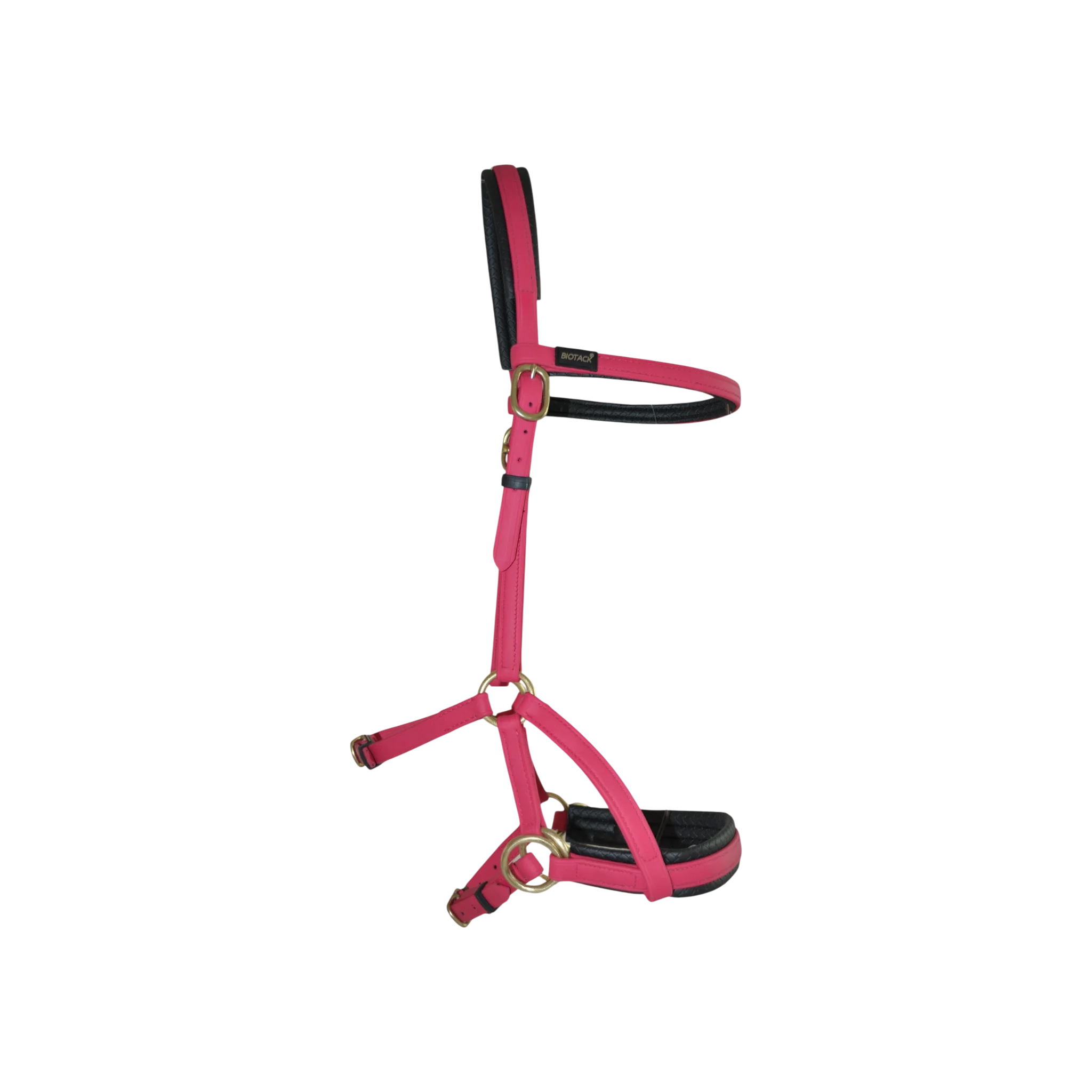 TdeT - Biotack® sidepull bridle fuchsia