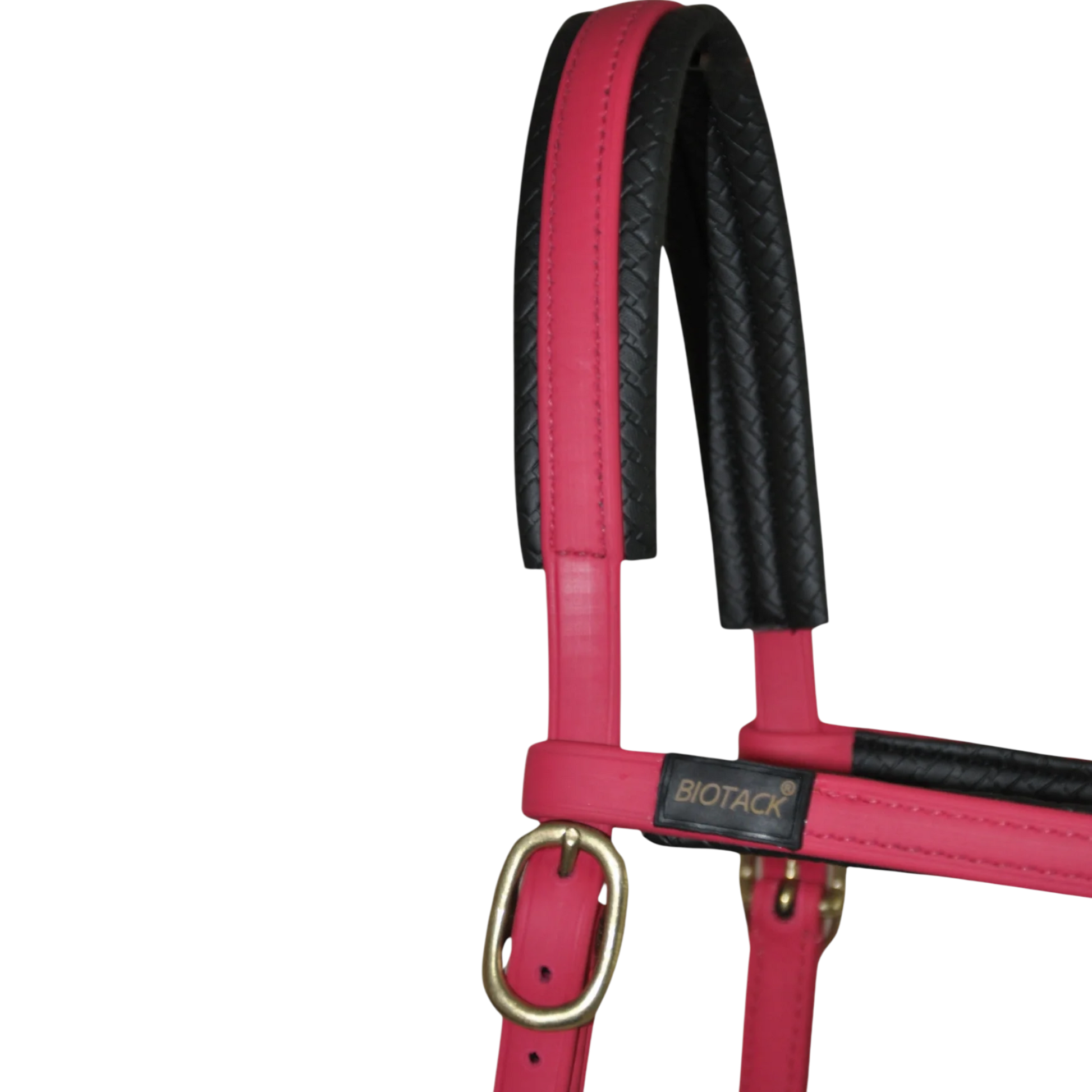 TdeT - Biotack® sidepull bridle fuchsia