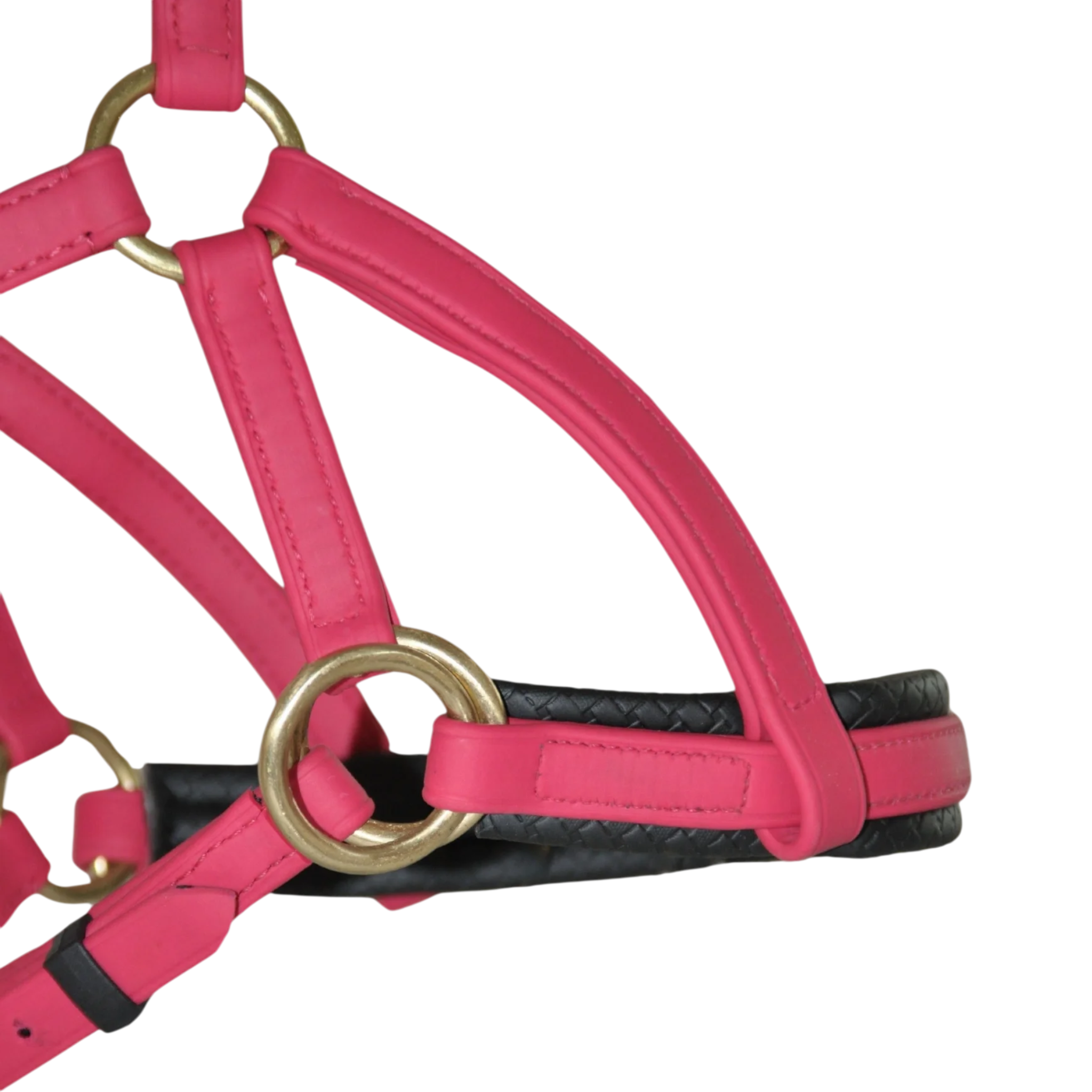 TdeT - Biotack® sidepull bridle fuchsia