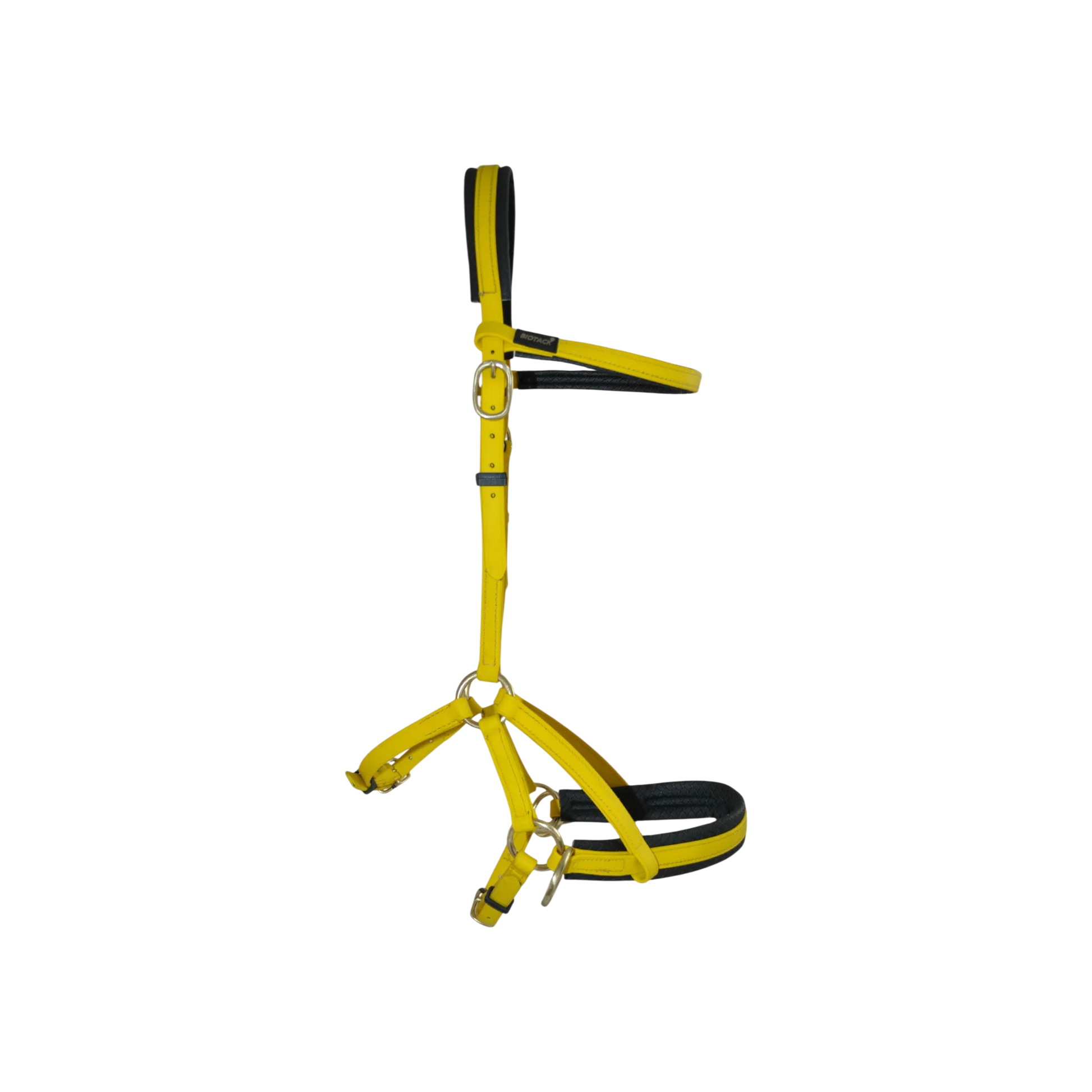 TdeT - Biotack® sidepull bridle yellow