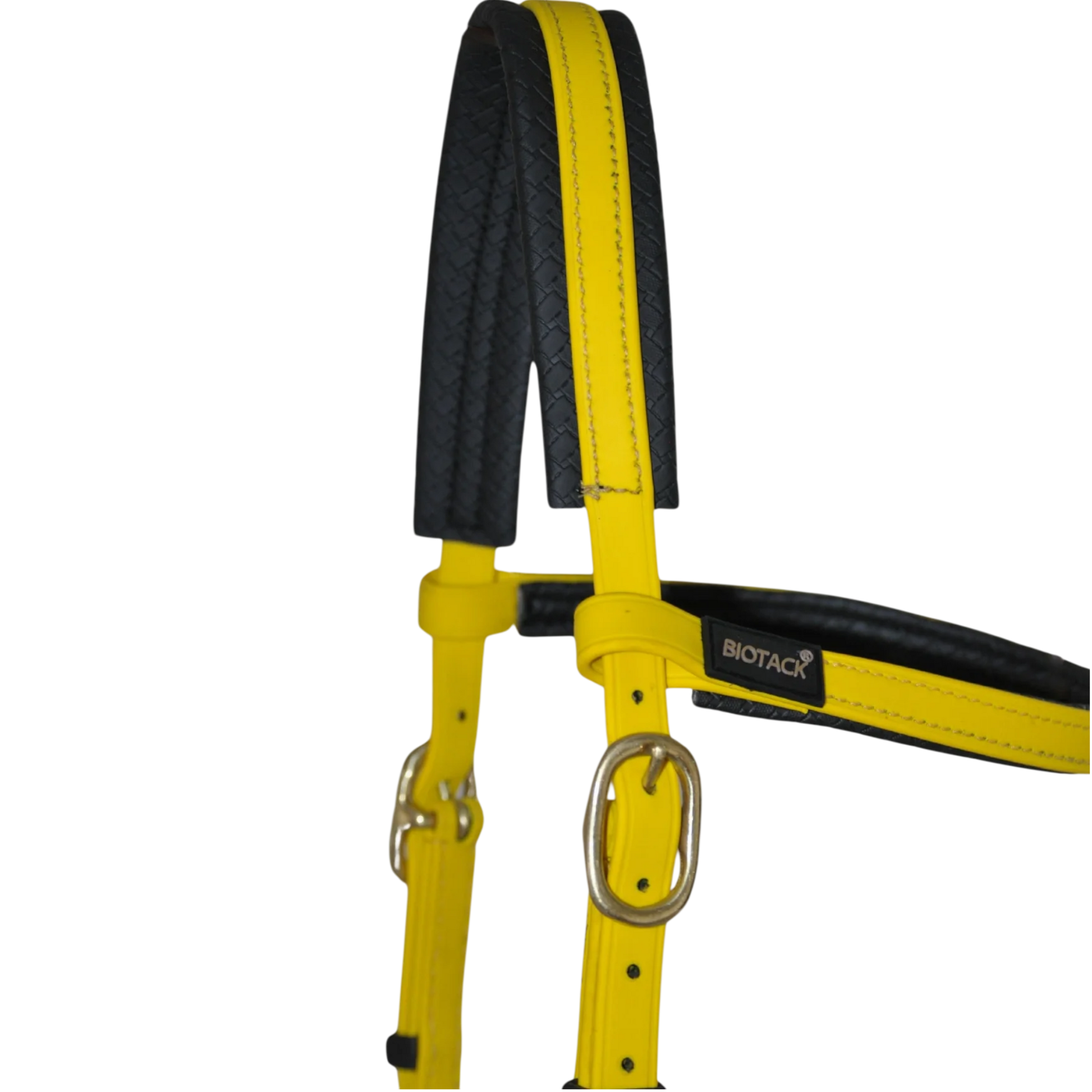 TdeT - Biotack® sidepull bridle yellow