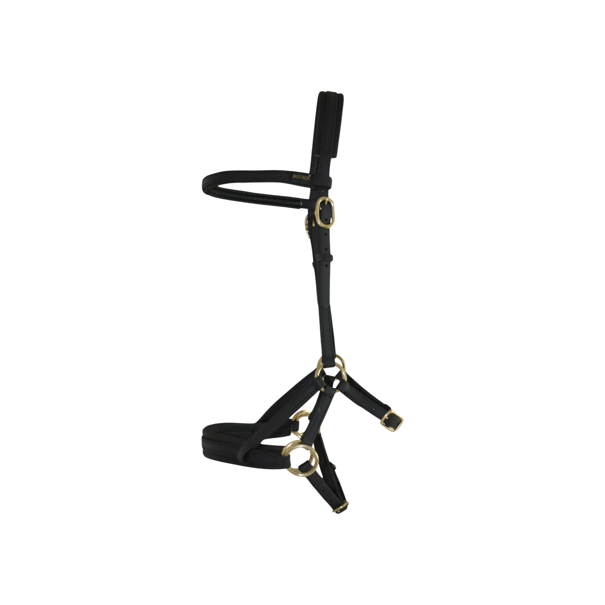 TdeT - Biotack® sidepull bridle black