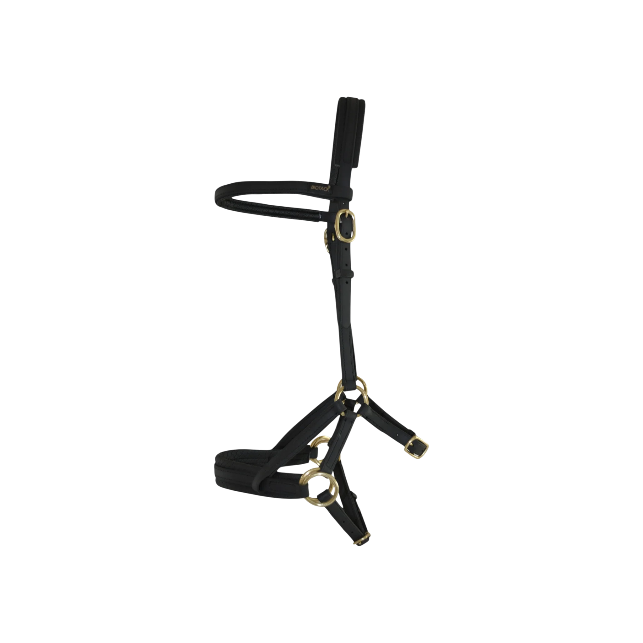 TdeT - Biotack® sidepull bridle black