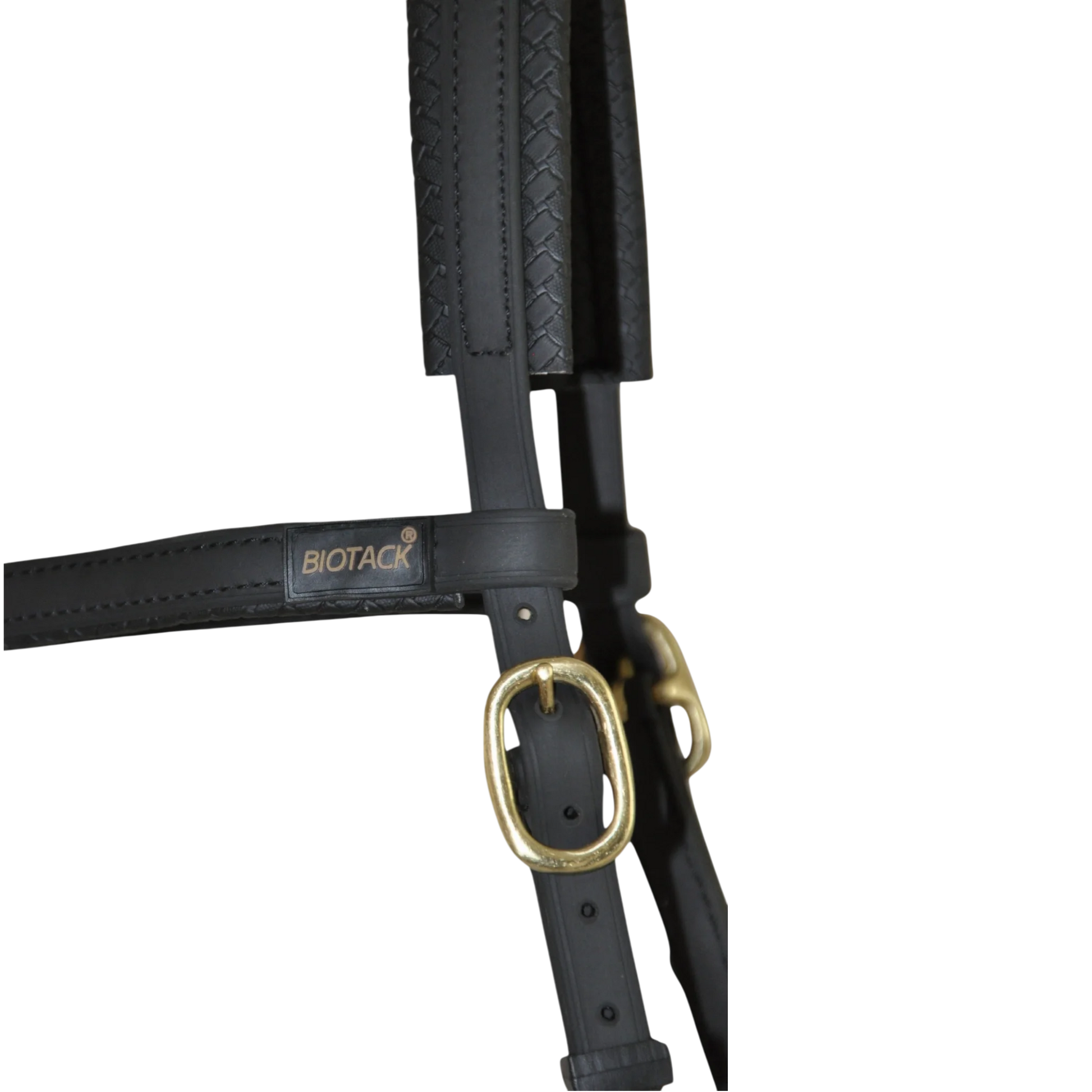 TdeT - Biotack® sidepull bridle black