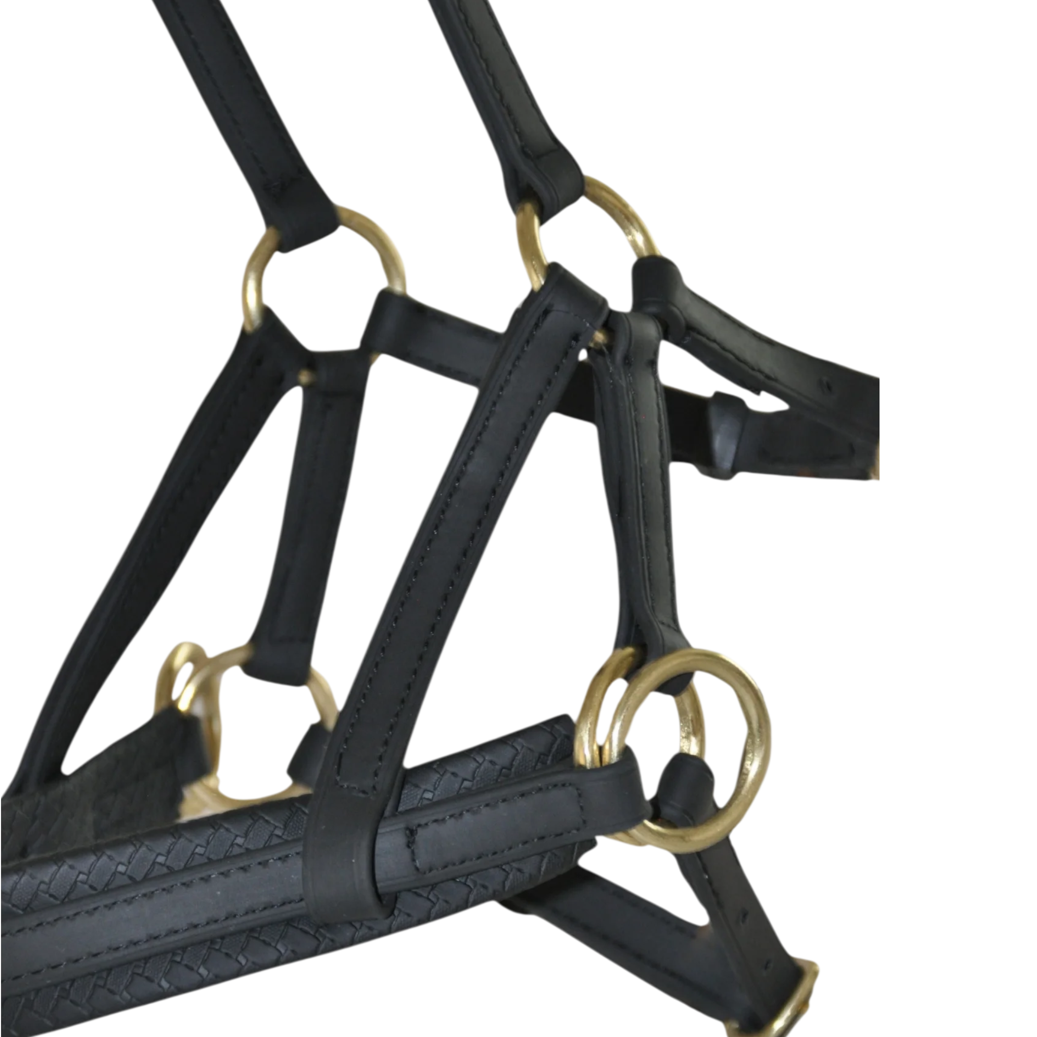 TdeT - Biotack® sidepull bridle black