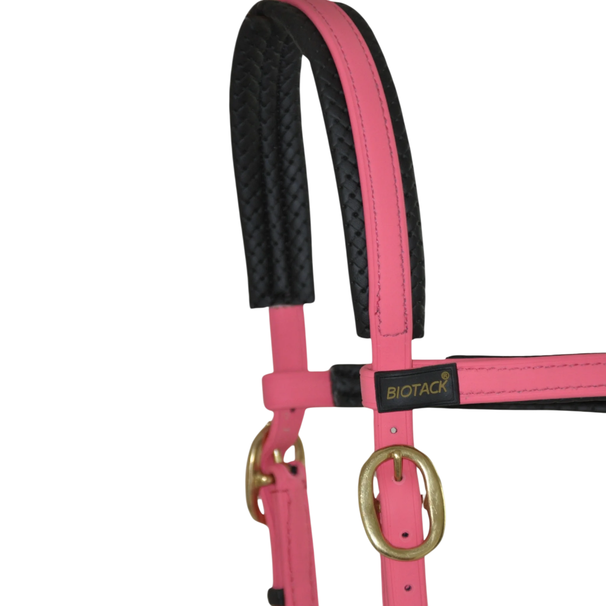 TdeT - Bridon Sidepull Biotack® rose
