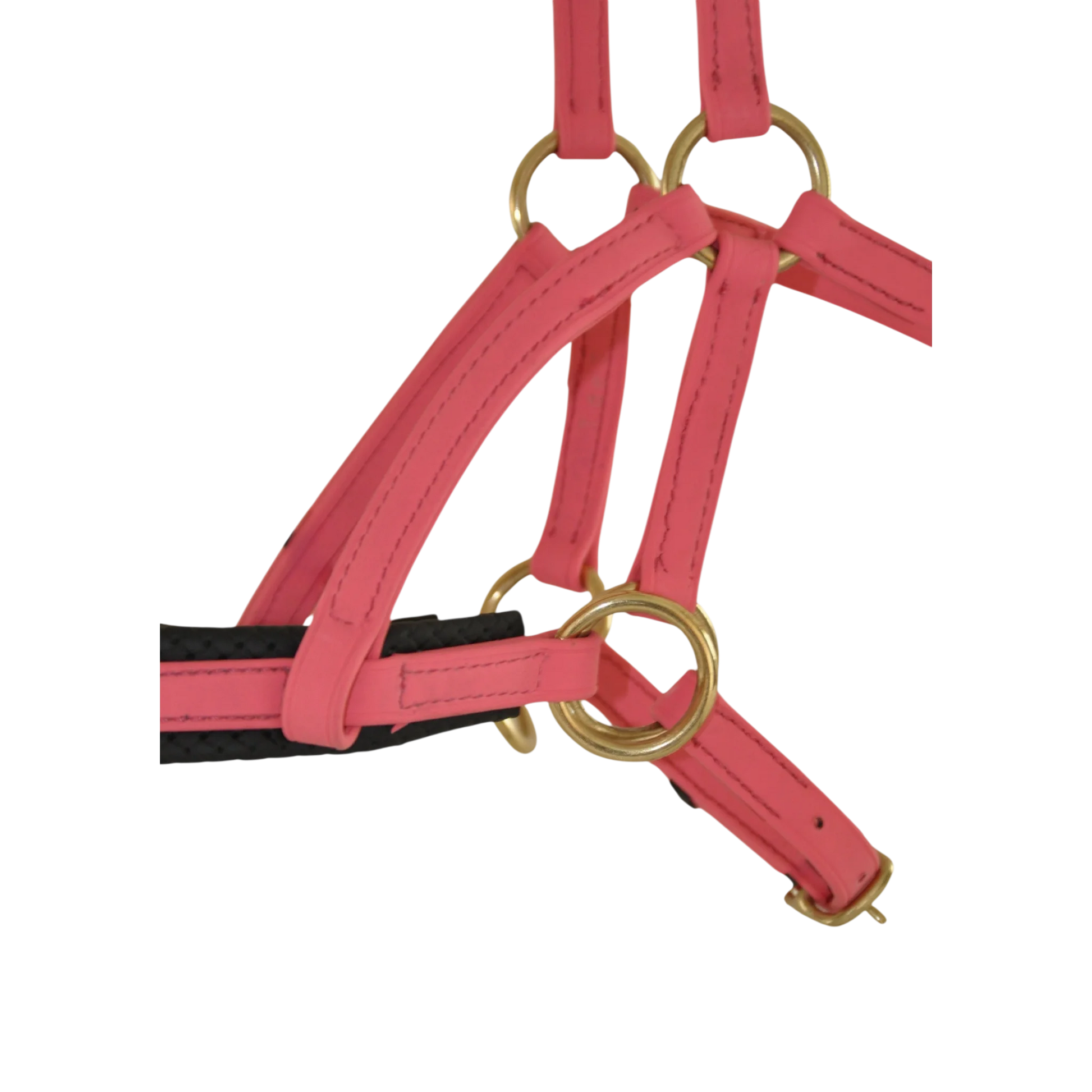 TdeT - Bridon Sidepull Biotack® rose