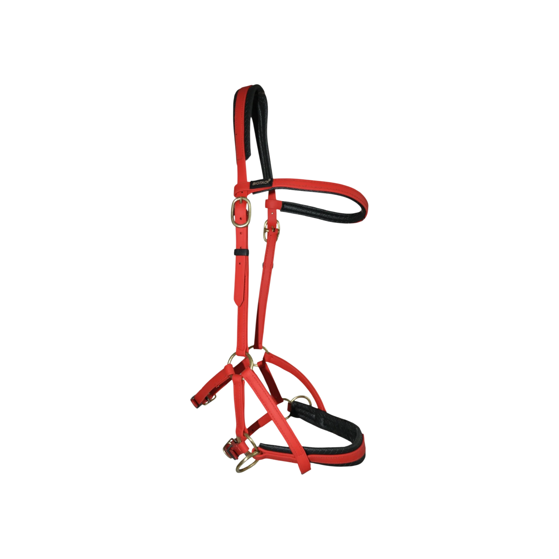 TdeT - Biotack® sidepull bridle red