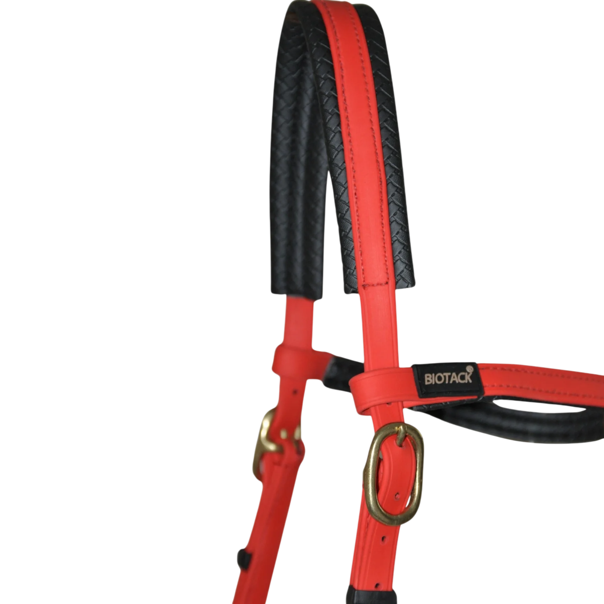 TdeT - Biotack® sidepull bridle red