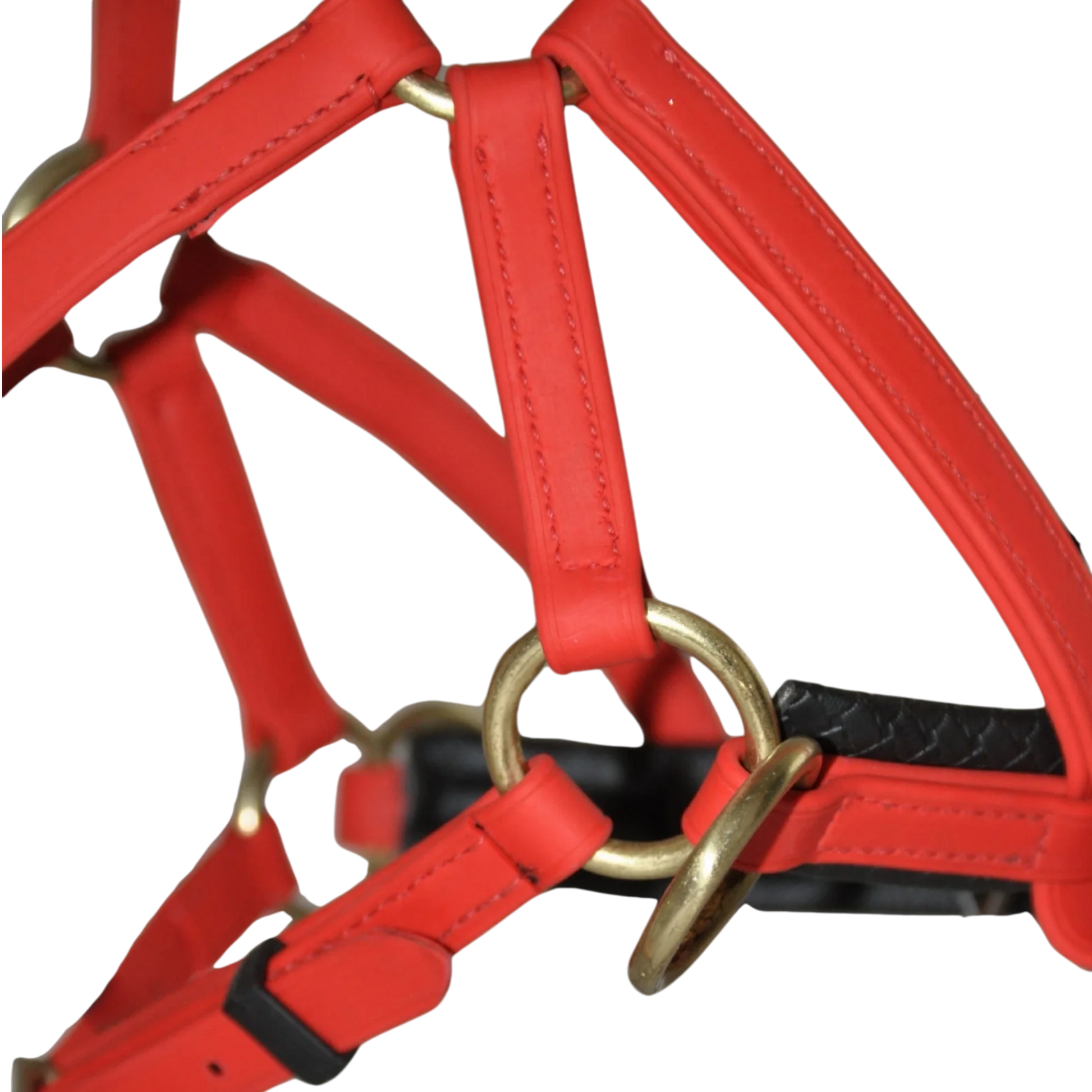 TdeT - Biotack® sidepull bridle red