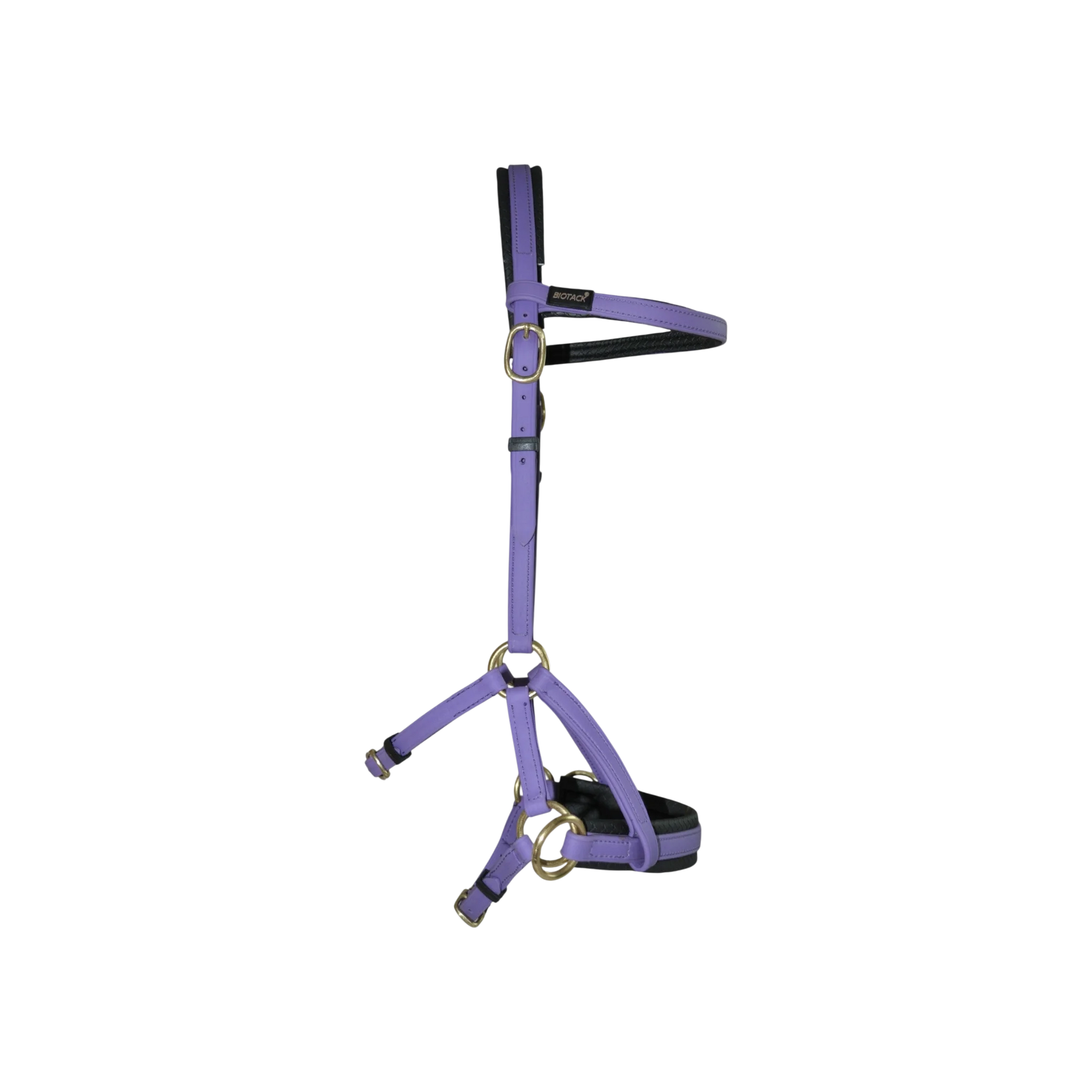 TdeT - Biotack® sidepull bridle purple