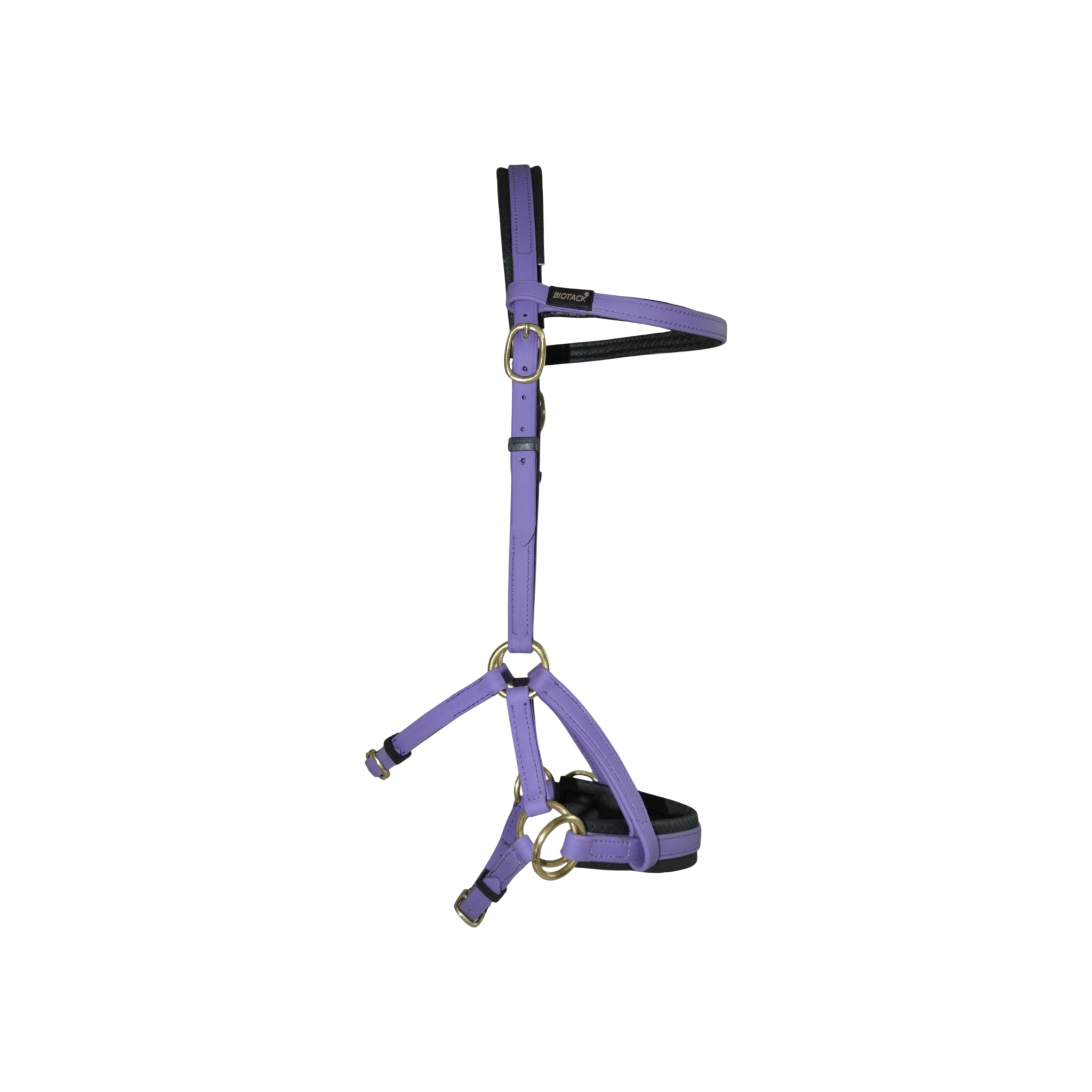 TdeT - Biotack® sidepull bridle purple
