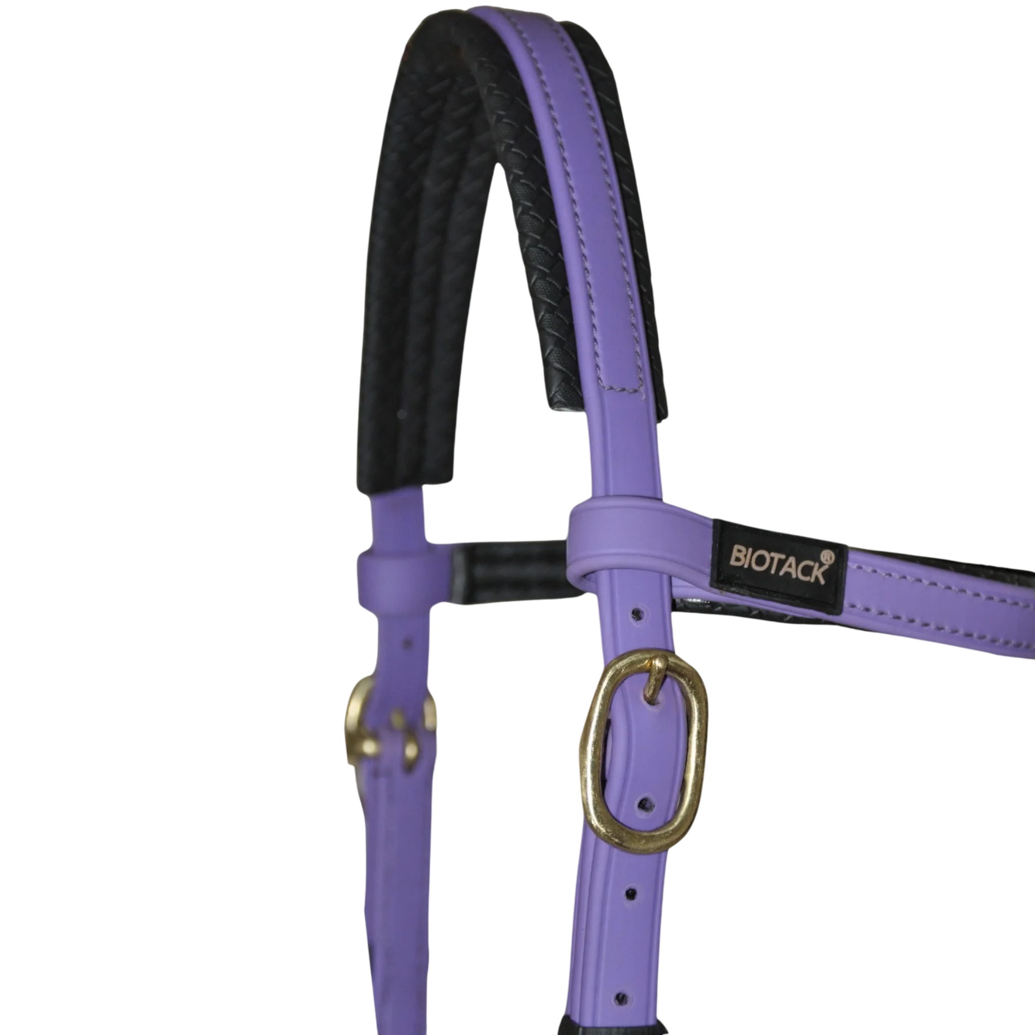 TdeT - Biotack® sidepull bridle purple
