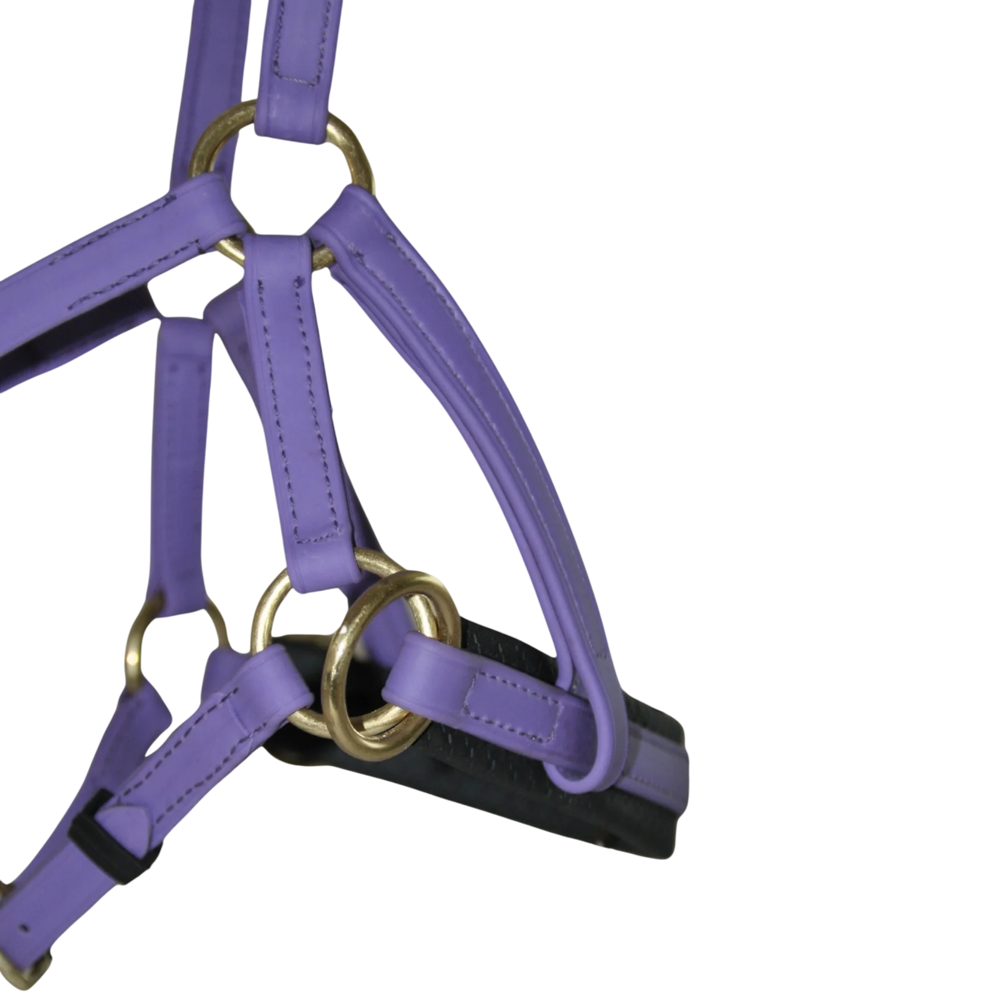 TdeT - Biotack® sidepull bridle purple