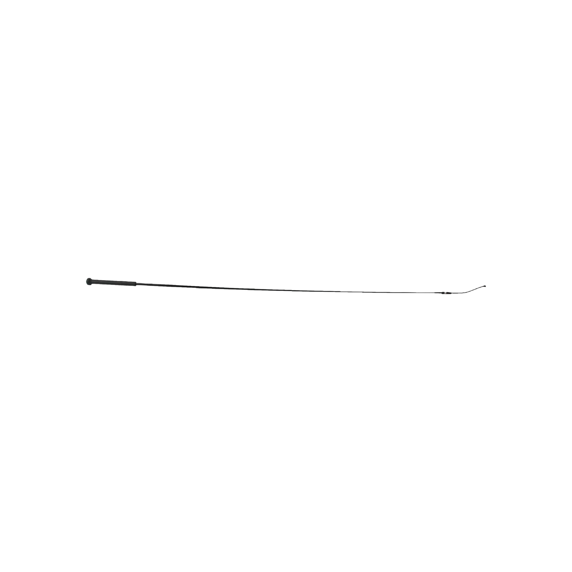 TdeT - Dressage whip First black