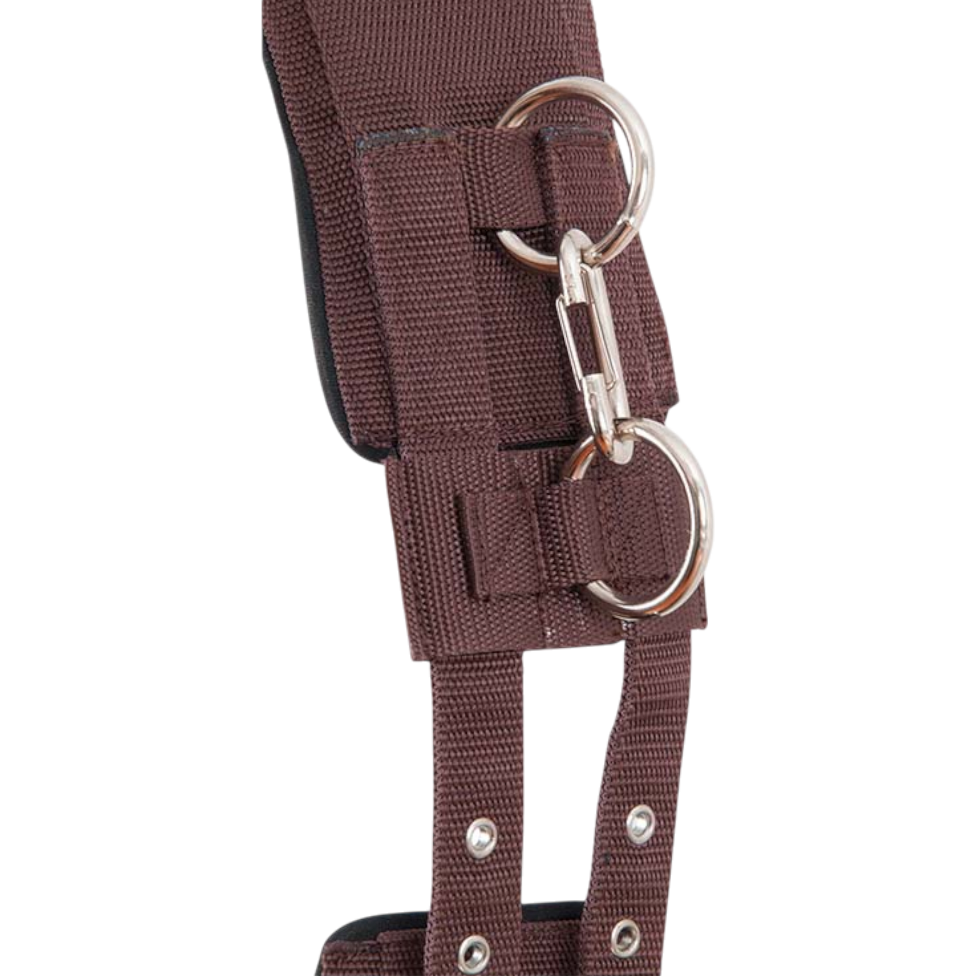 TdeT - Memory foam surcingle brown/black