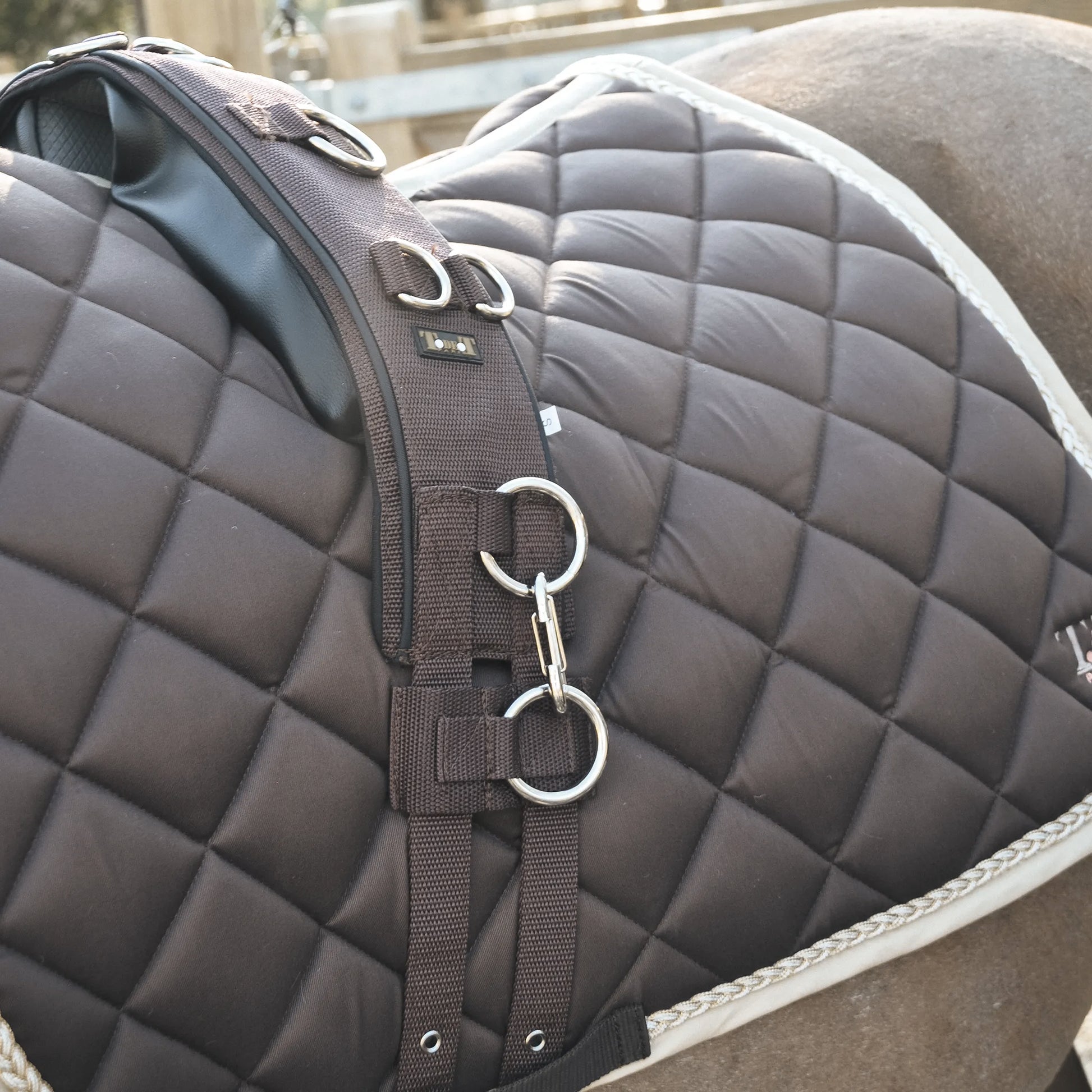 TdeT - Work surcingle with Fontainebleau saddle pad chocolate/beige