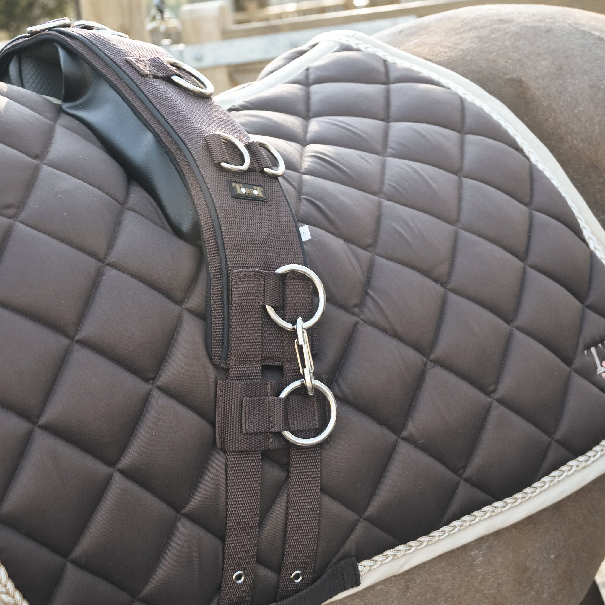 TdeT - Work surcingle with Fontainebleau saddle pad chocolate/beige