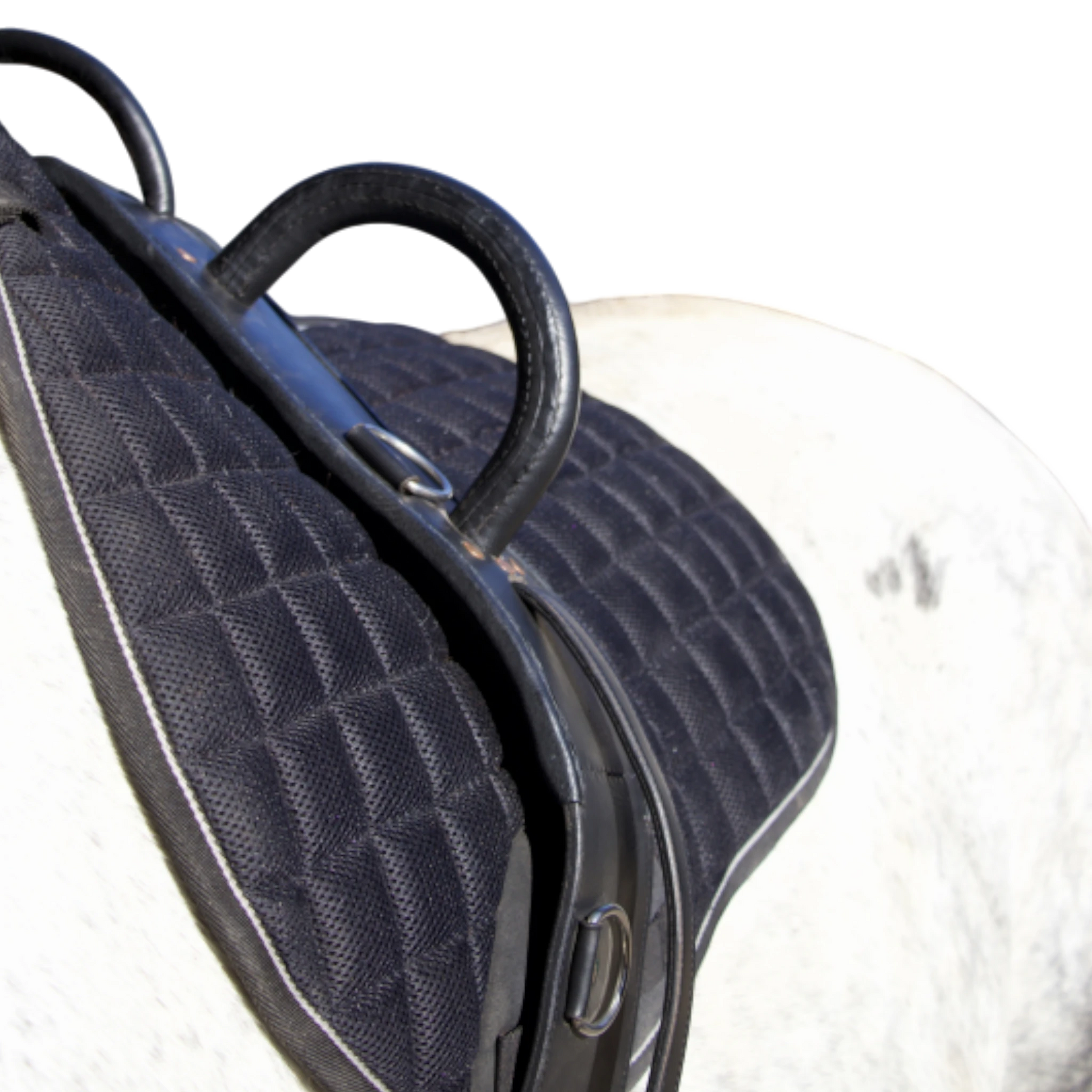 TdeT - Vaulting surcingle black