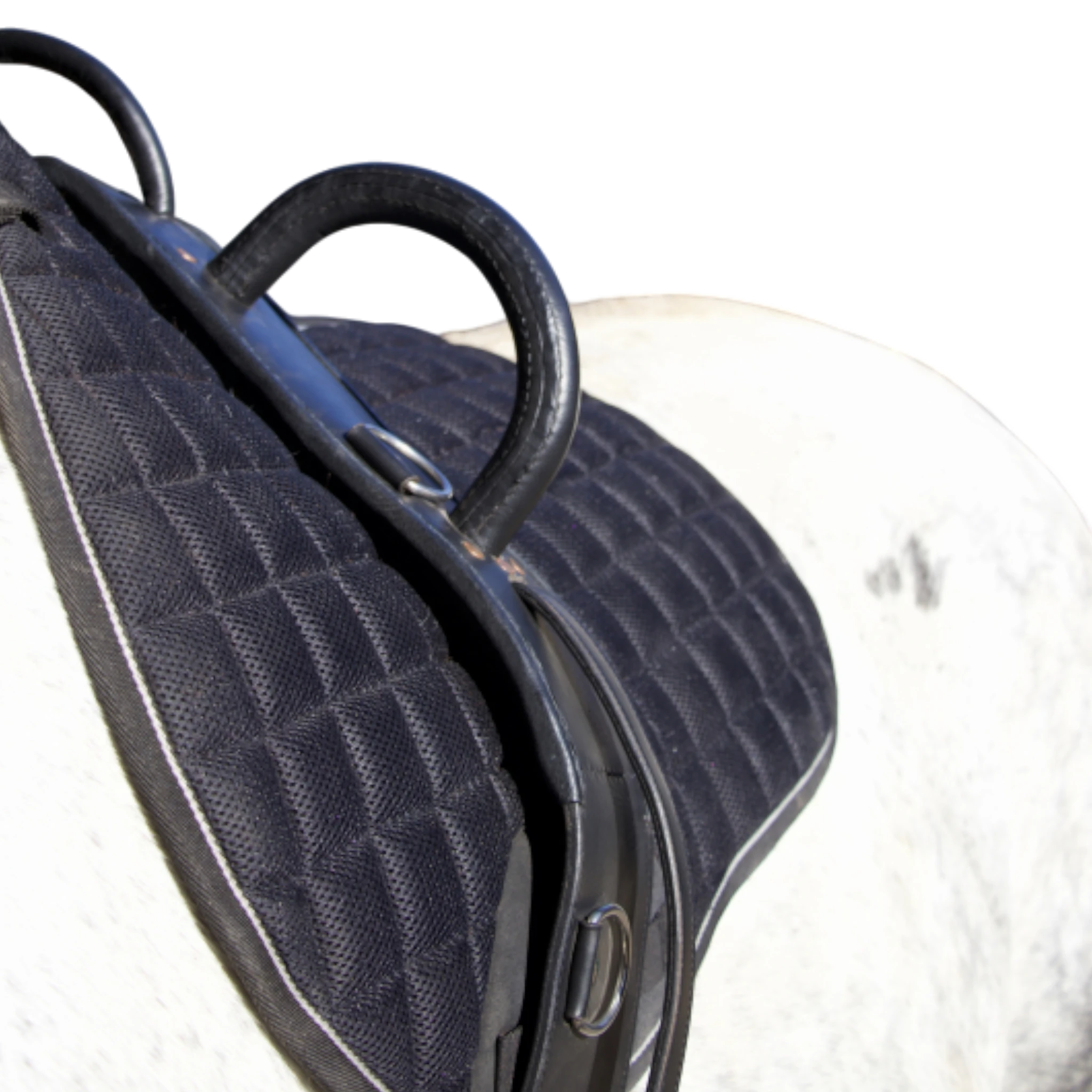 TdeT - Vaulting surcingle black