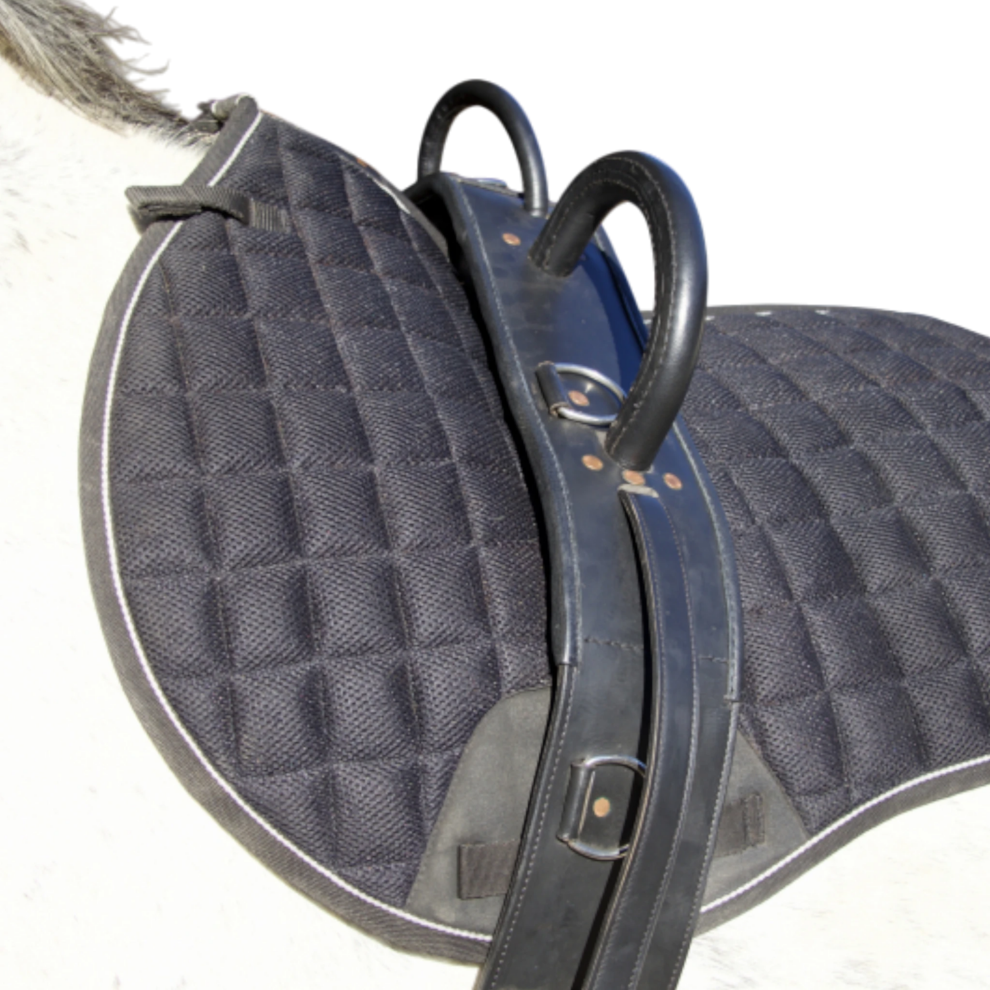TdeT - Vaulting surcingle black
