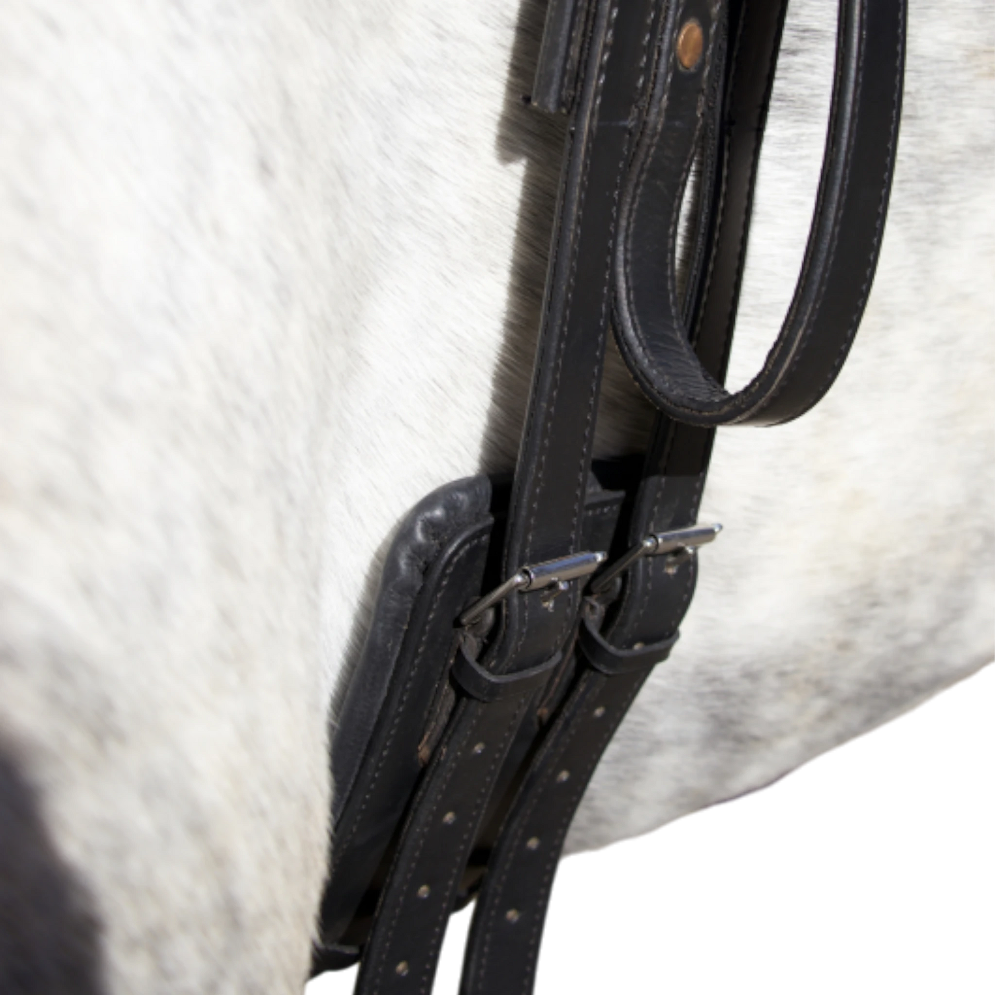 TdeT - Vaulting surcingle black