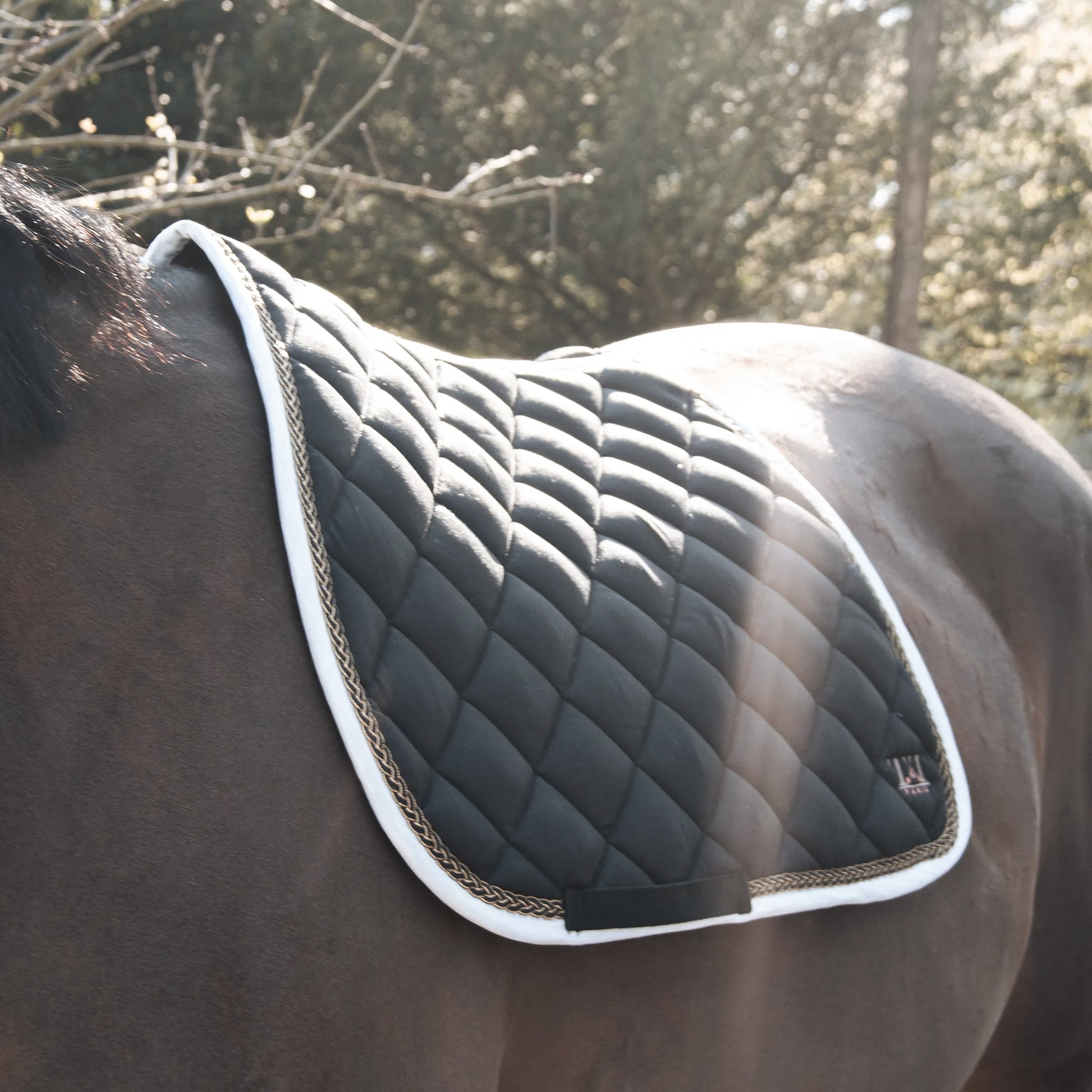 TdeT - Fontainebleau CSO saddle pad black/white